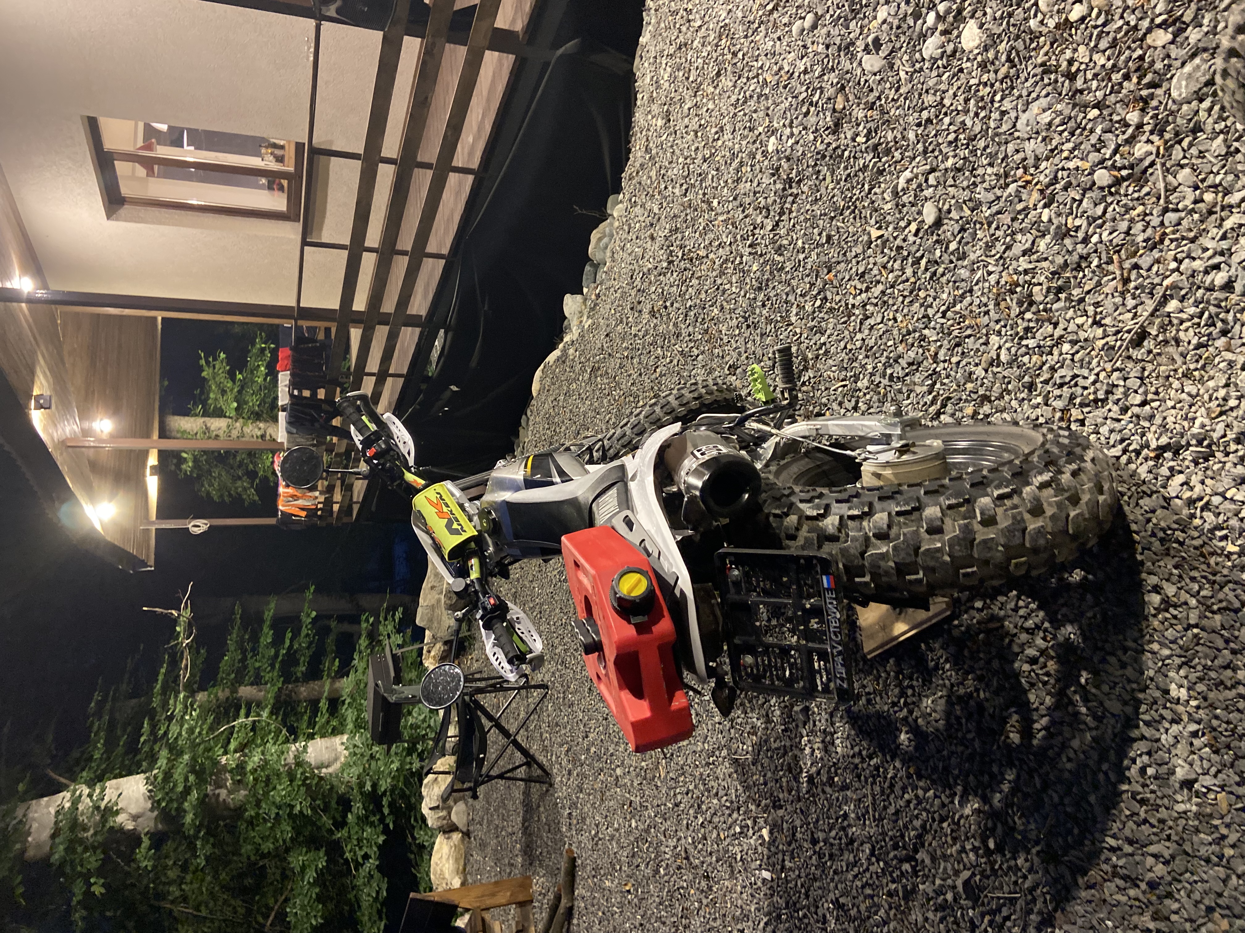 Фото Ягодный тис