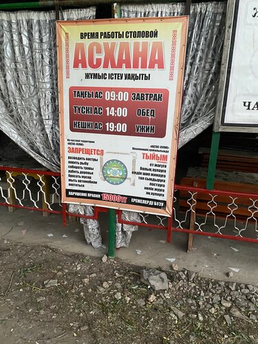 Тәтті әйел гамбургерінің фотосуреті сияқты киска