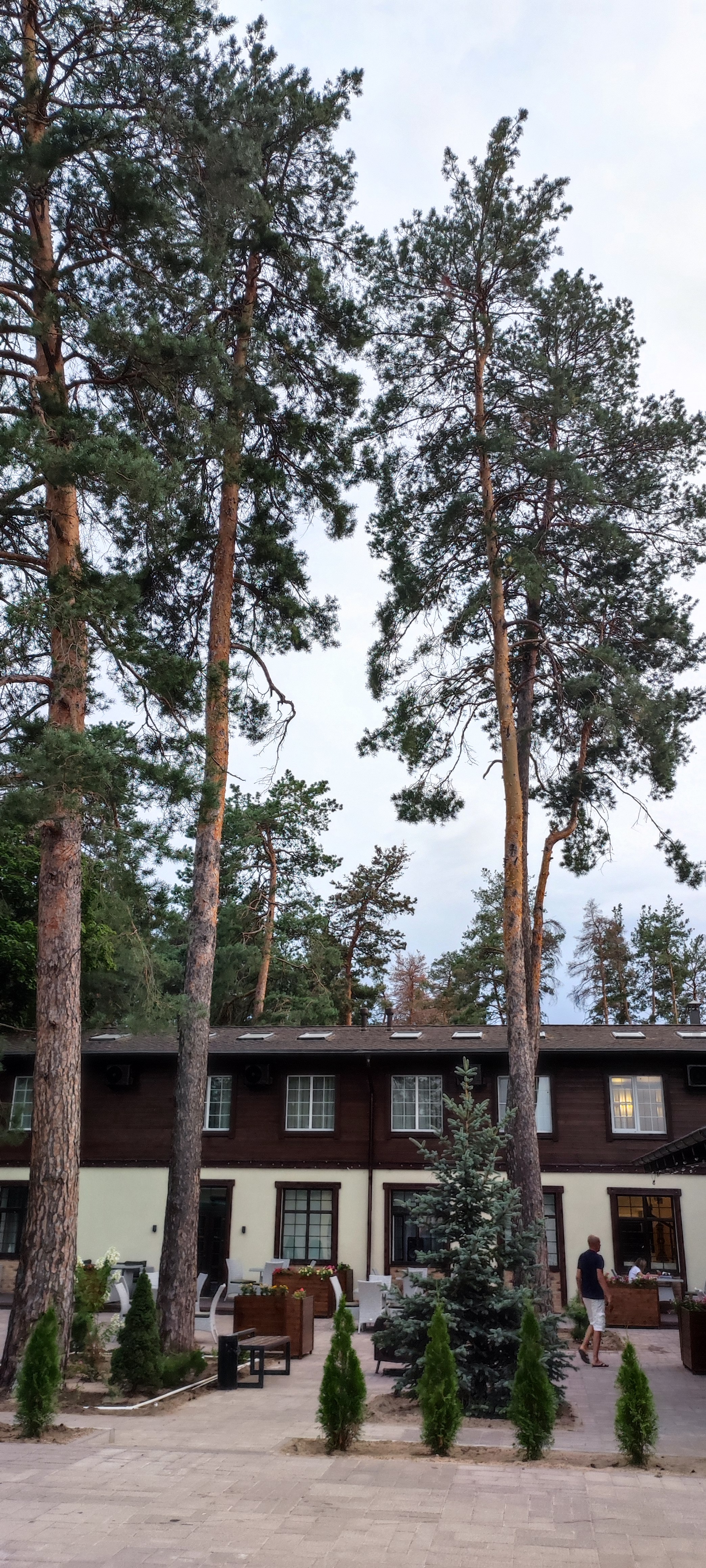 Фото Икорец