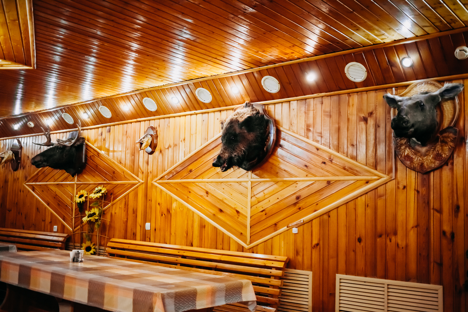 Фото Отель Твой