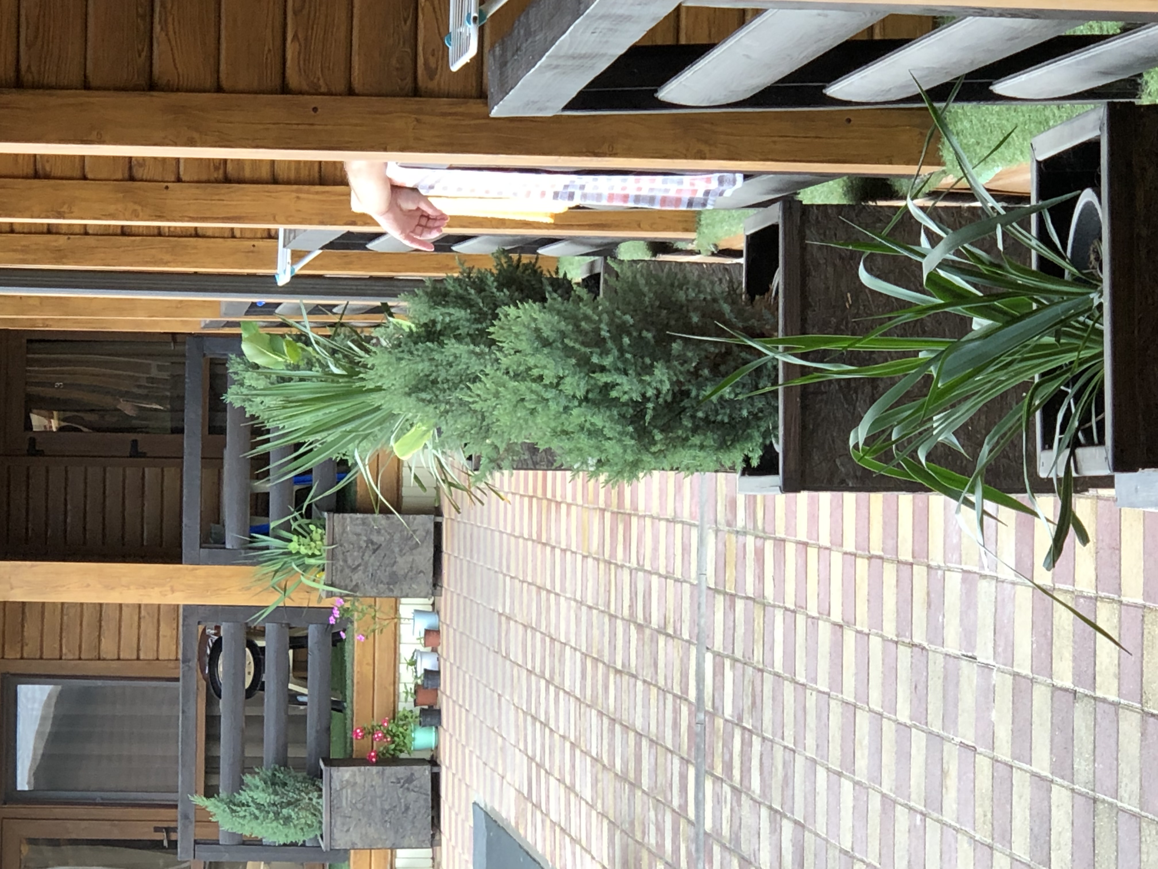 Фото Вилла на песке