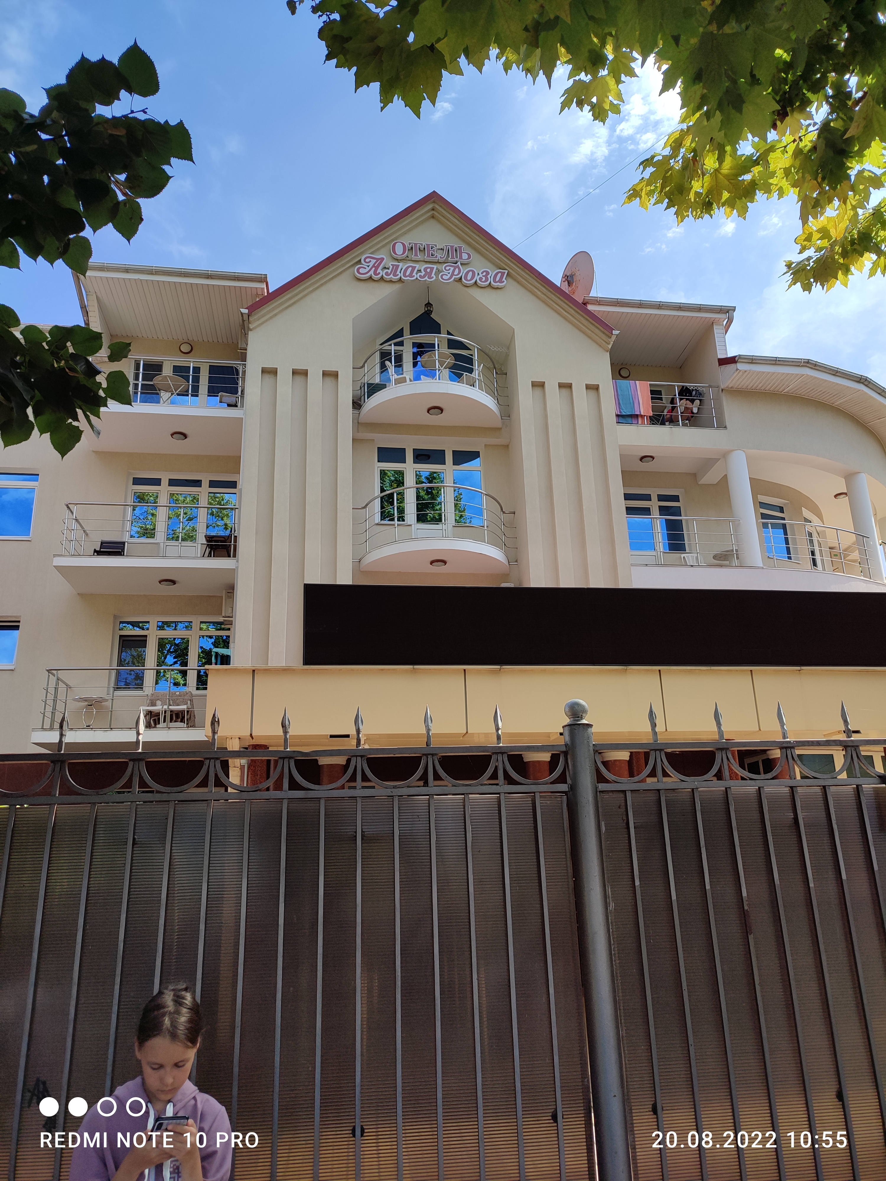 Фото Алая Роза