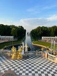Смотровая площадка (Aleksandriyskoye shosse, 12соор1ВС), observation deck