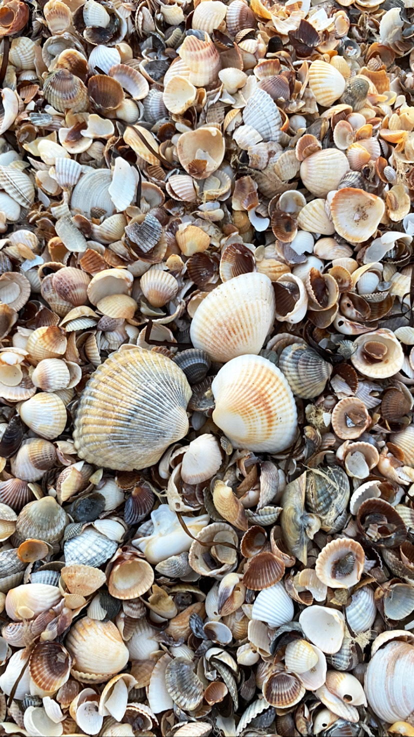 Фото Планета Лета