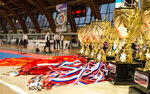 Federatsiya sportivnykh yedinoborstv gorodskogo okruga Schelkovo (Krasnoznamenskaya ulitsa, 24), club deportivo, sección