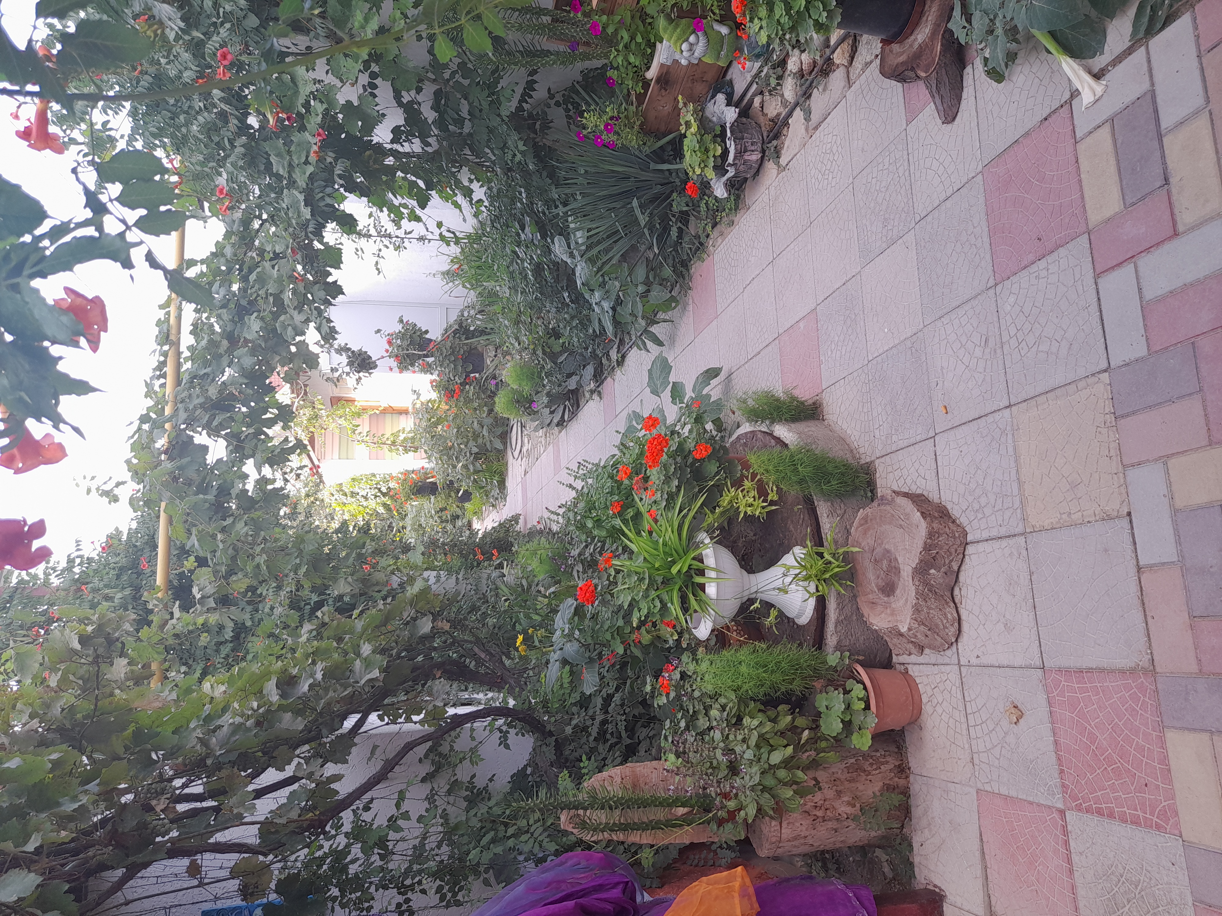 Фото Акварель