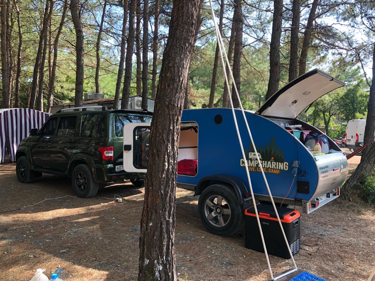 Фото Под соснами