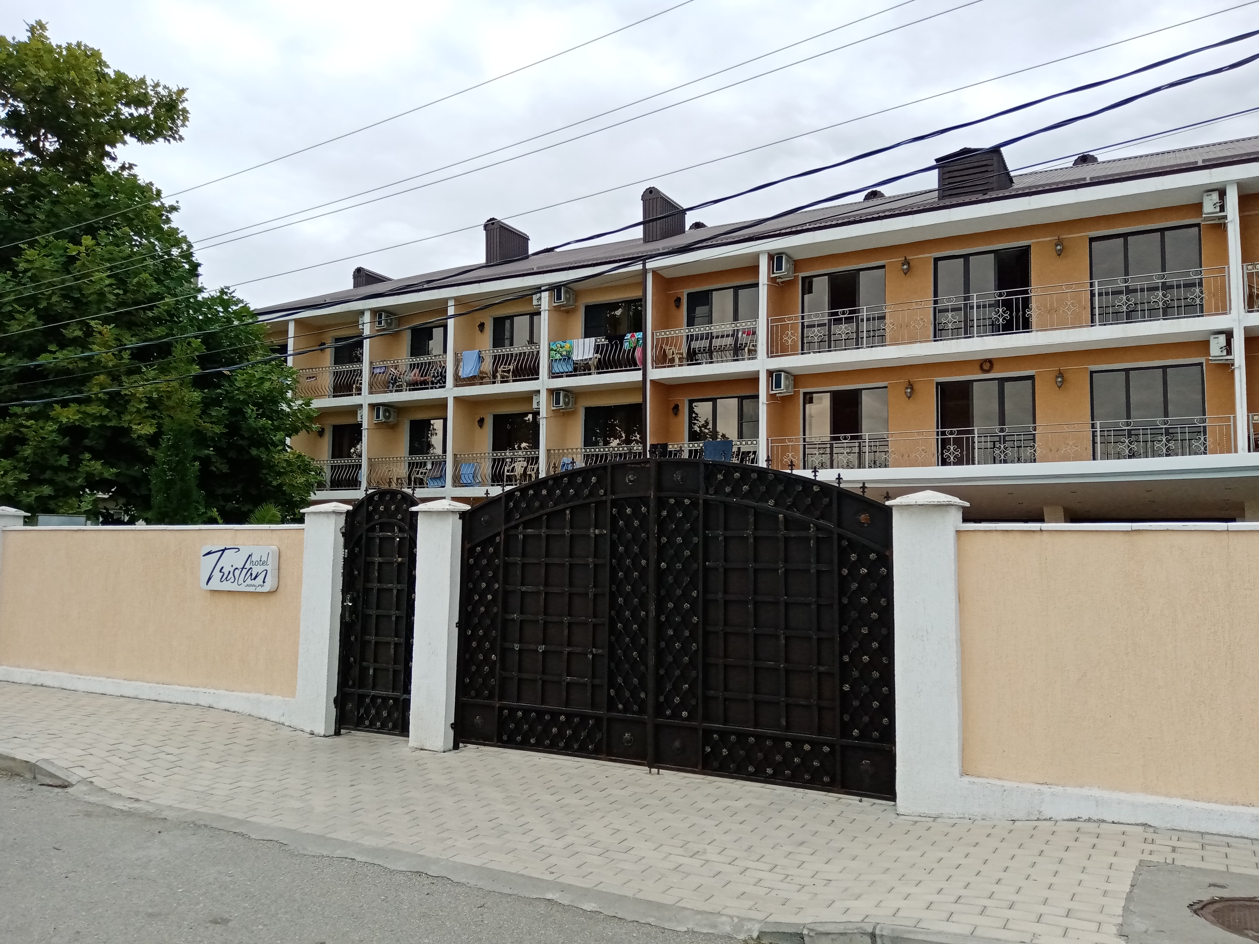 Фото Тристан