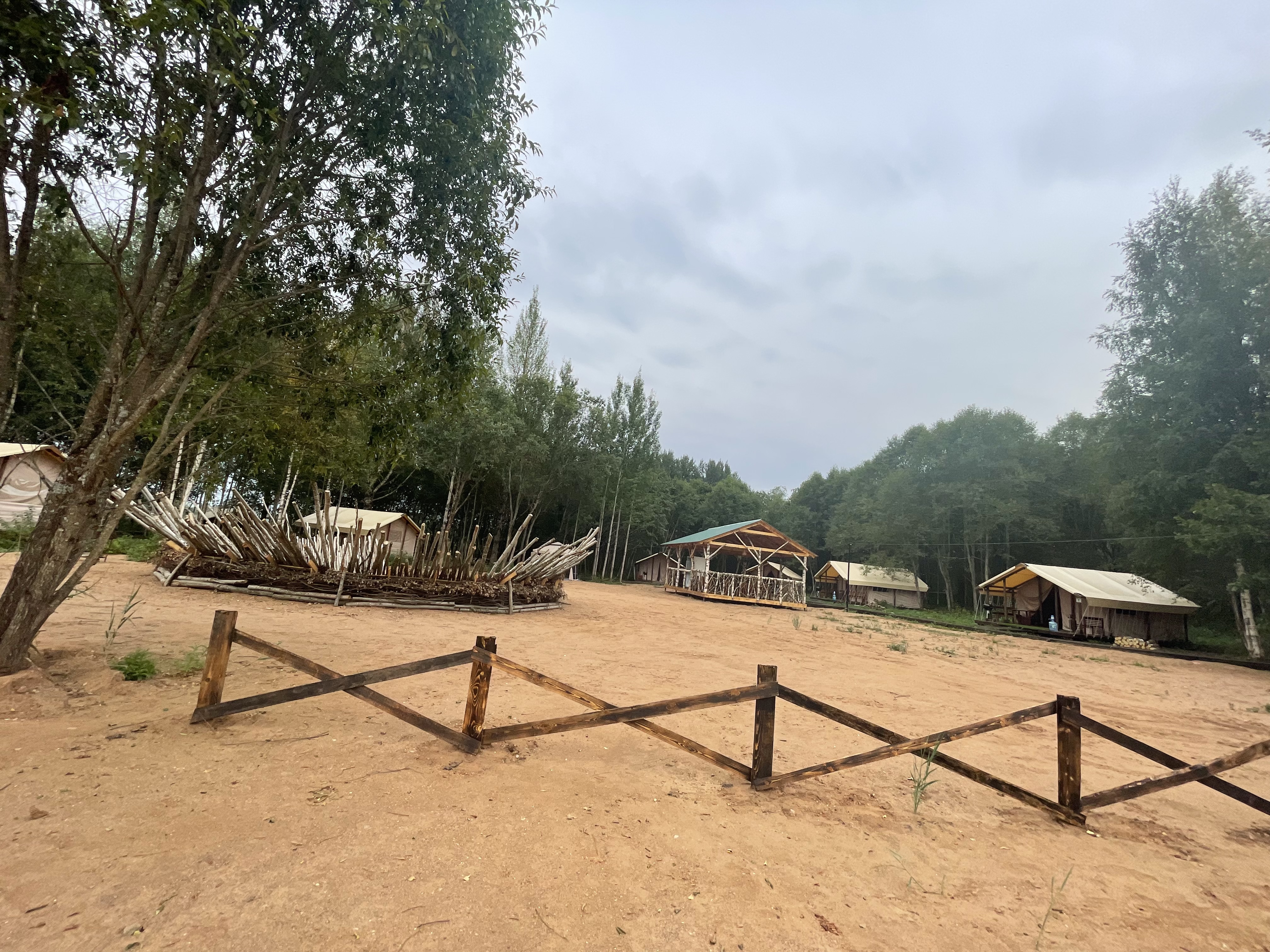 Фото Свобода