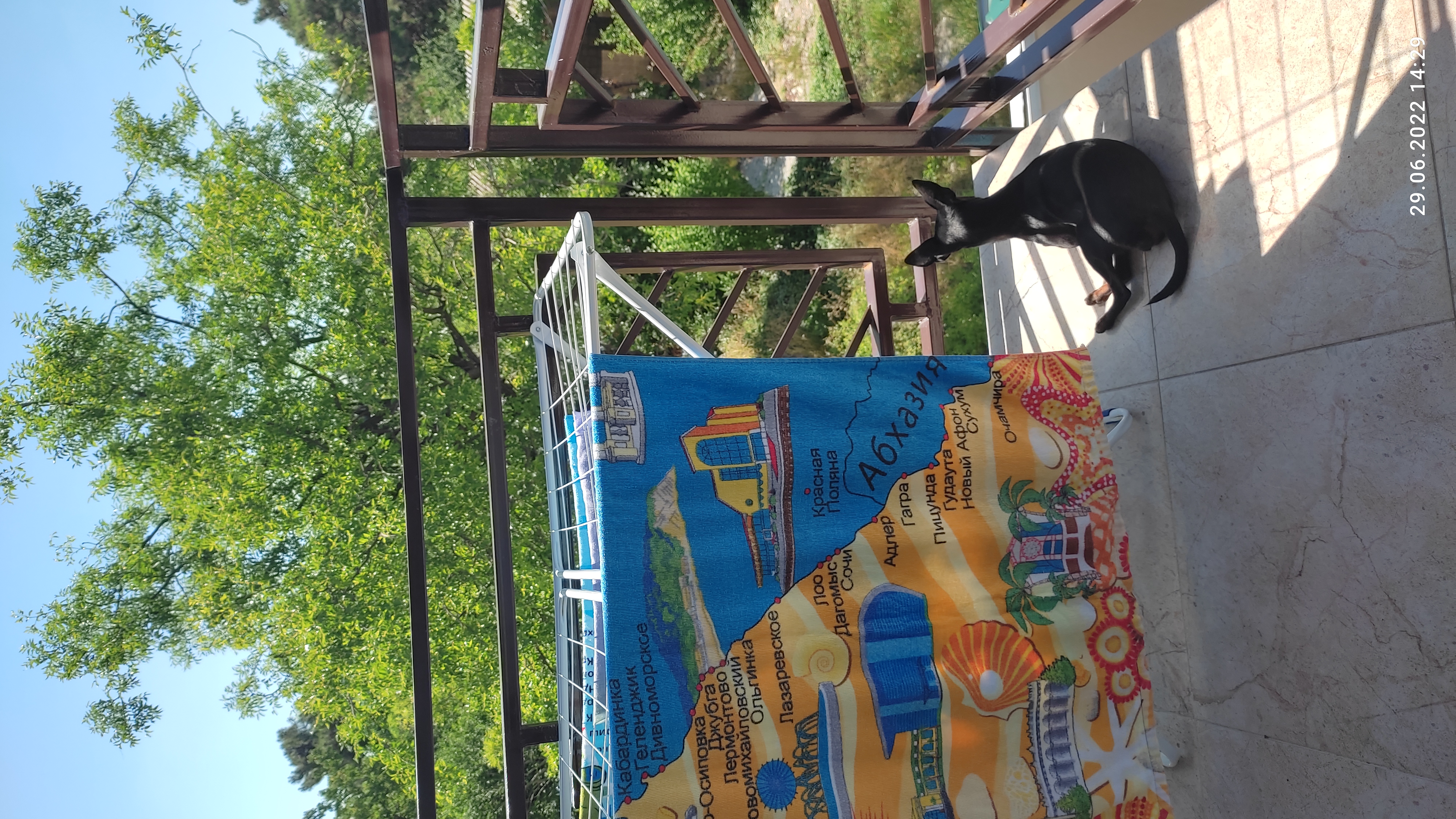 Фото Подкова