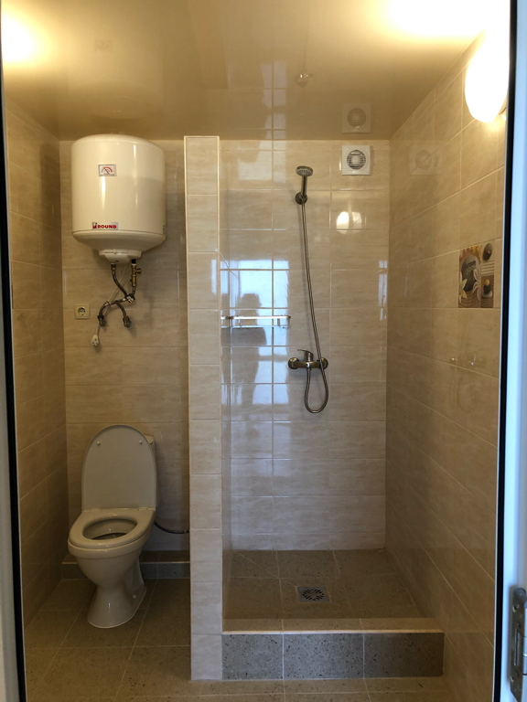 Фото Фламинго