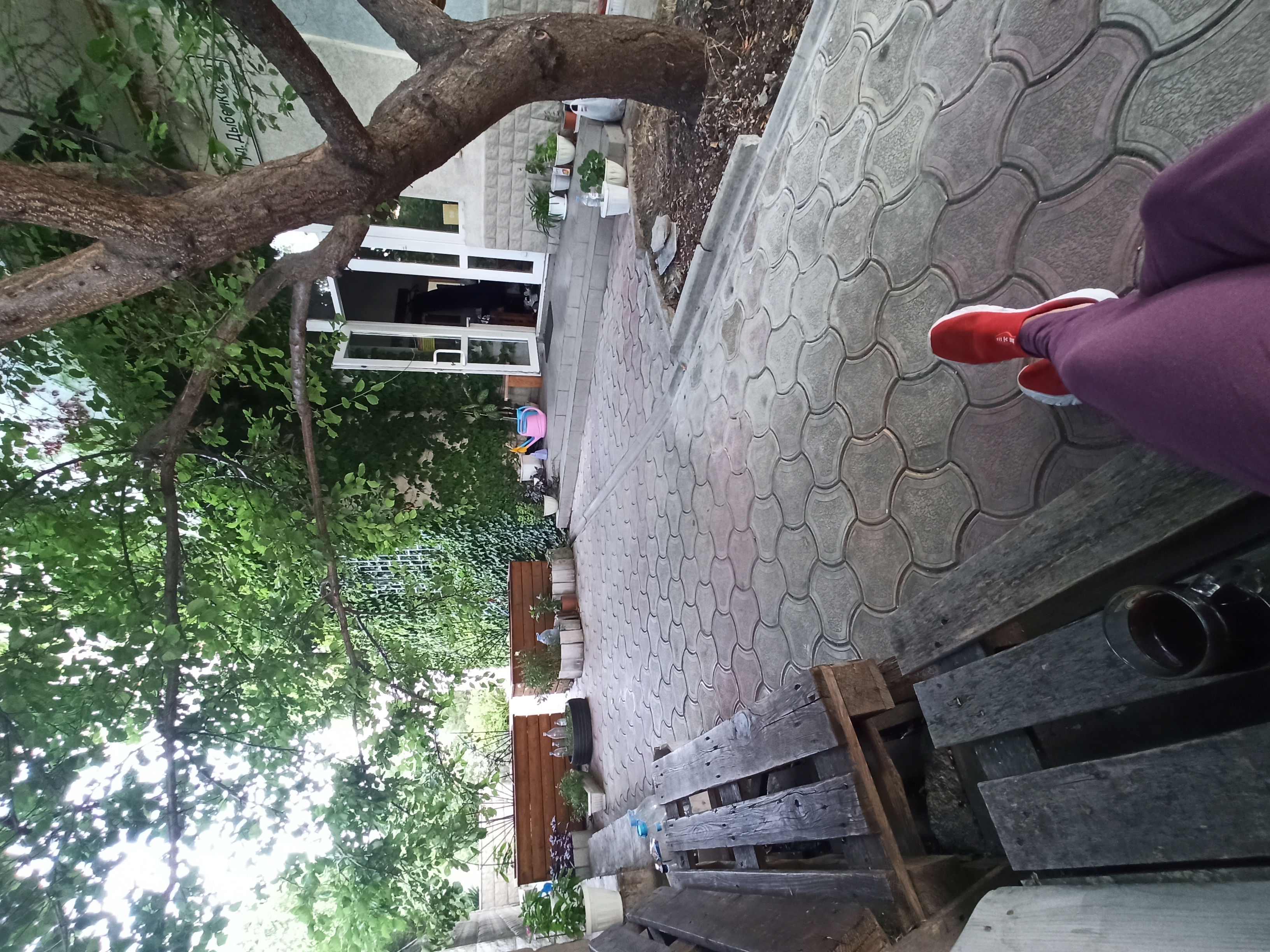 Фото Приятная компания