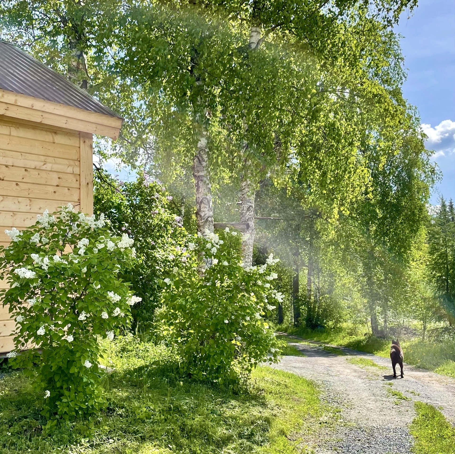 Фото Хутор Васильевых