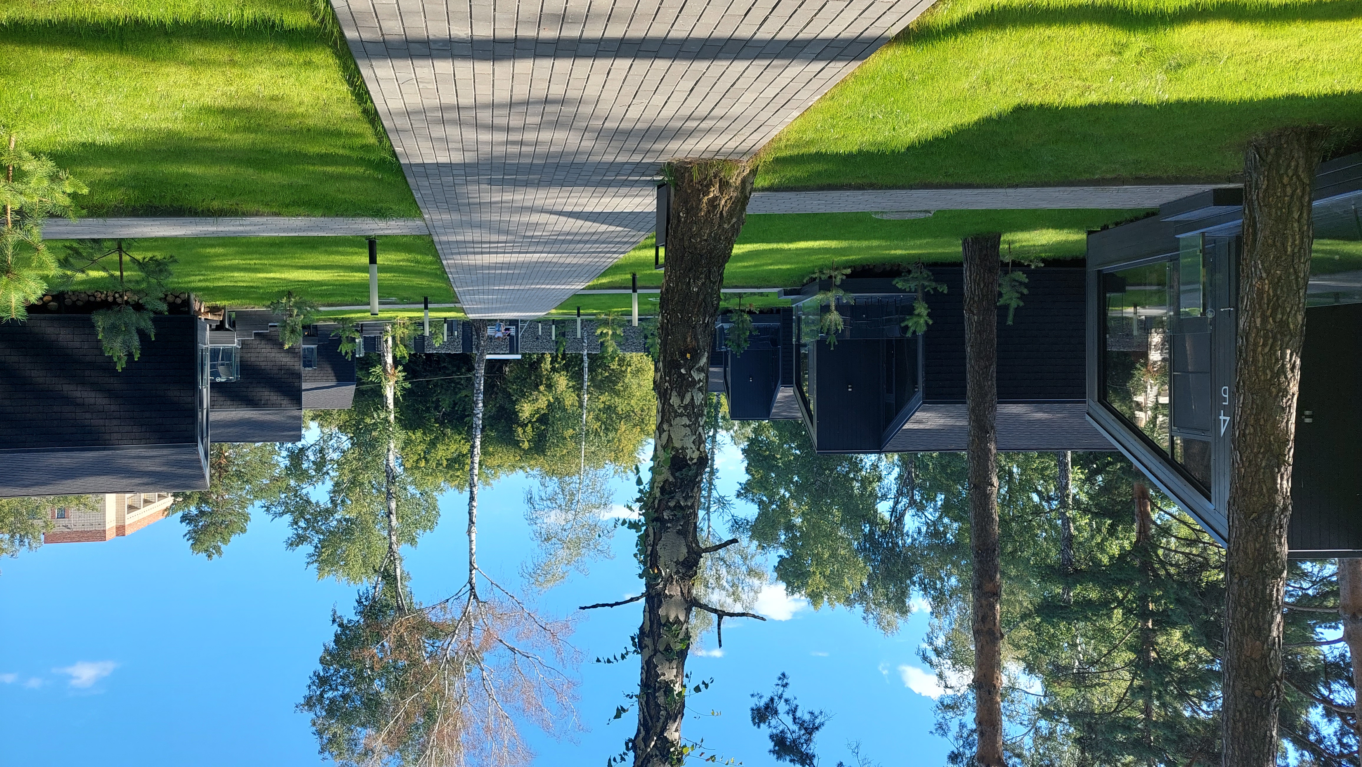 Фото Сосновый бор