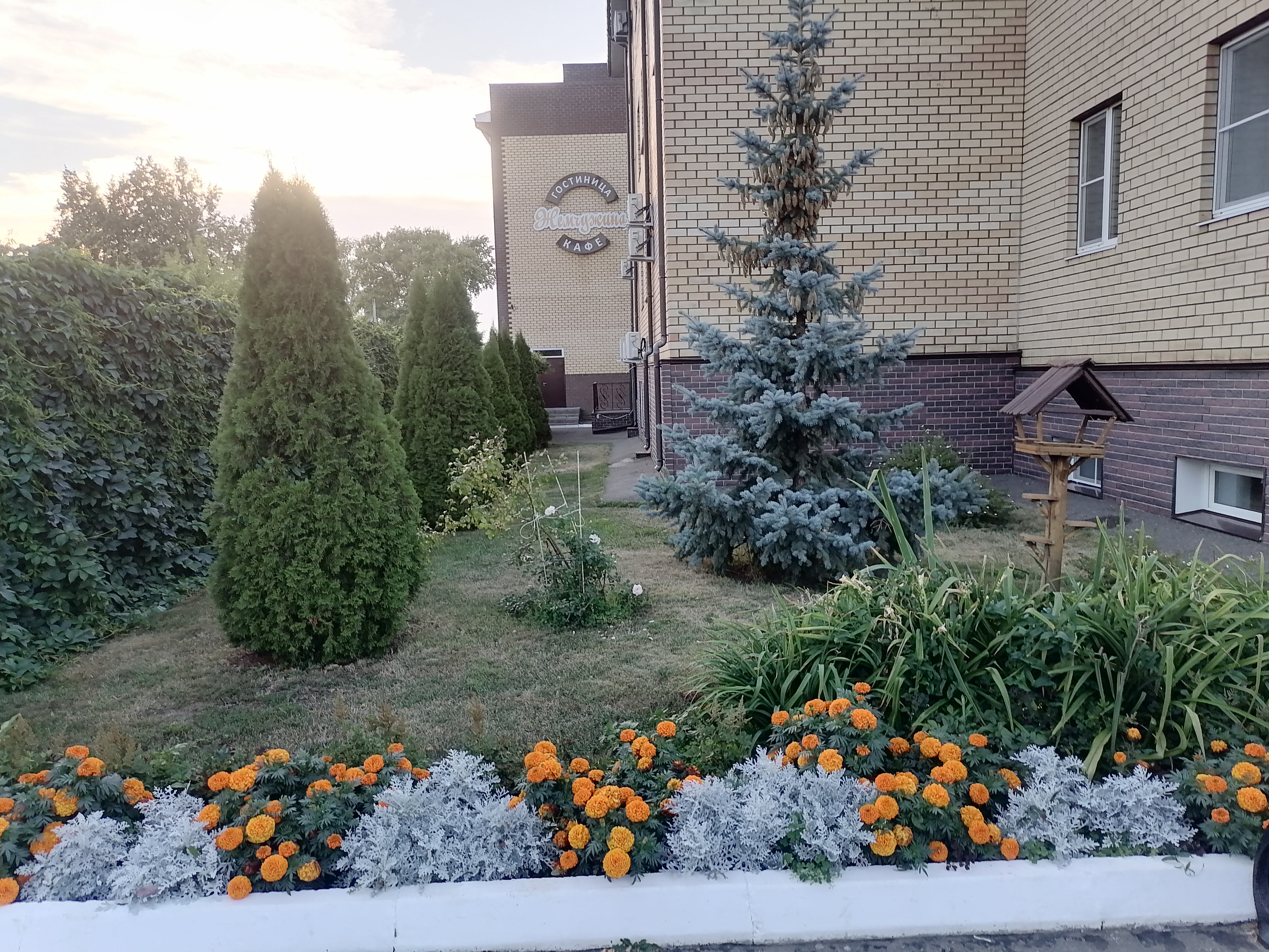 Фото Жемчужина