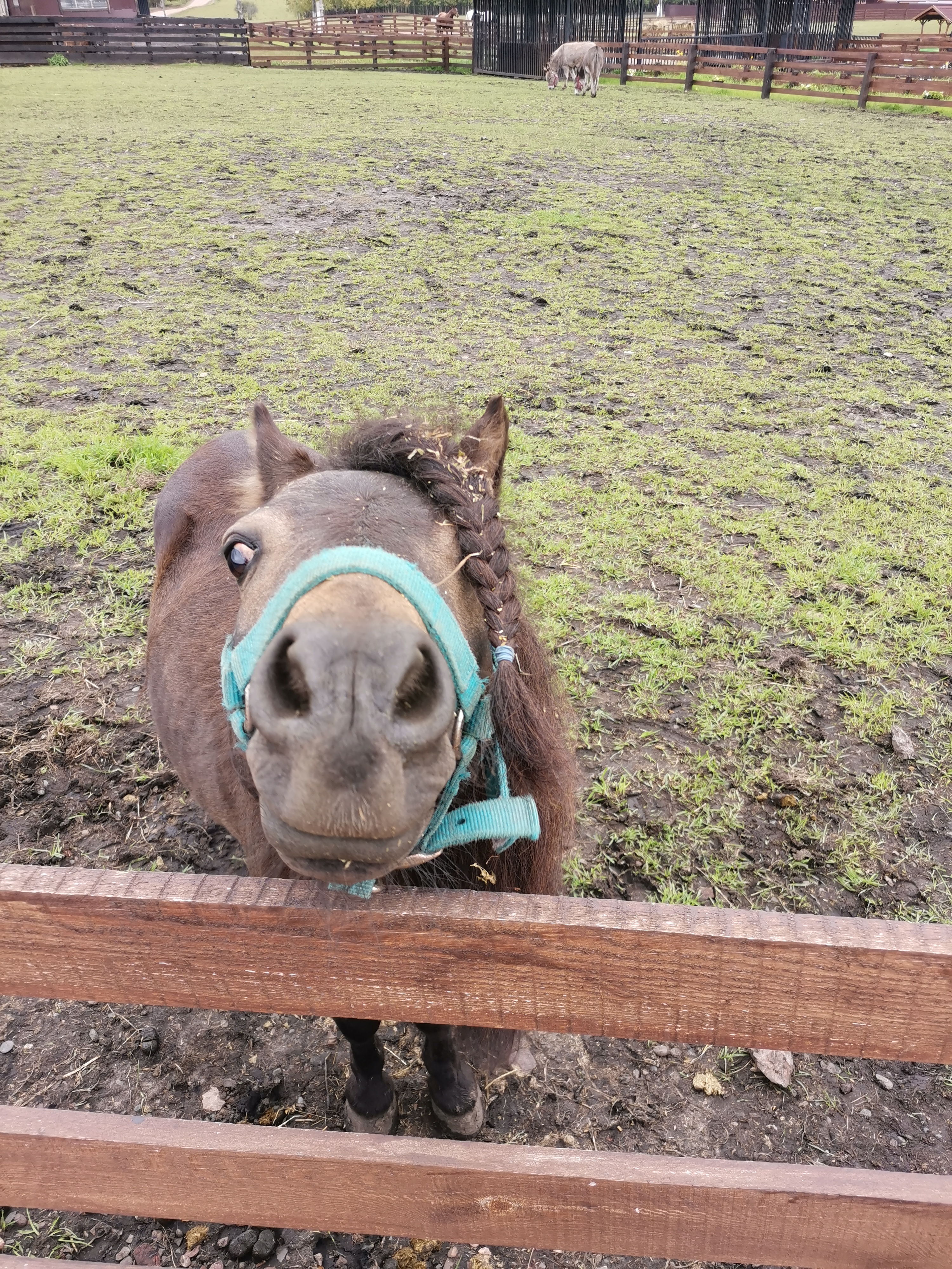 Фото Ранчо Шарье