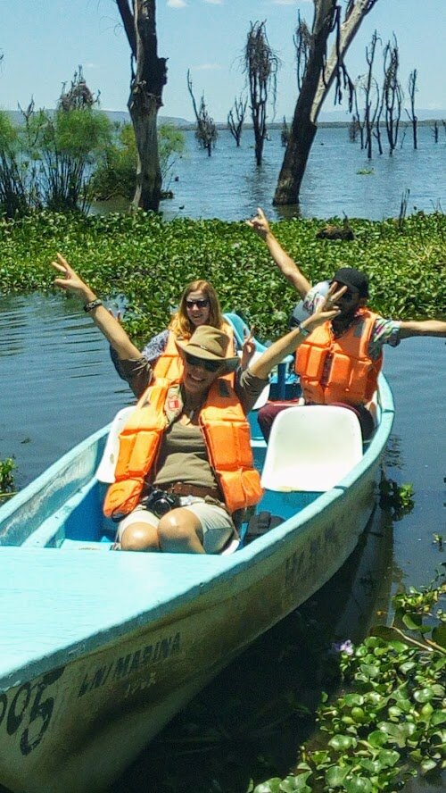 Travel agency Wild Safaris and Travel, Nairobi, photo