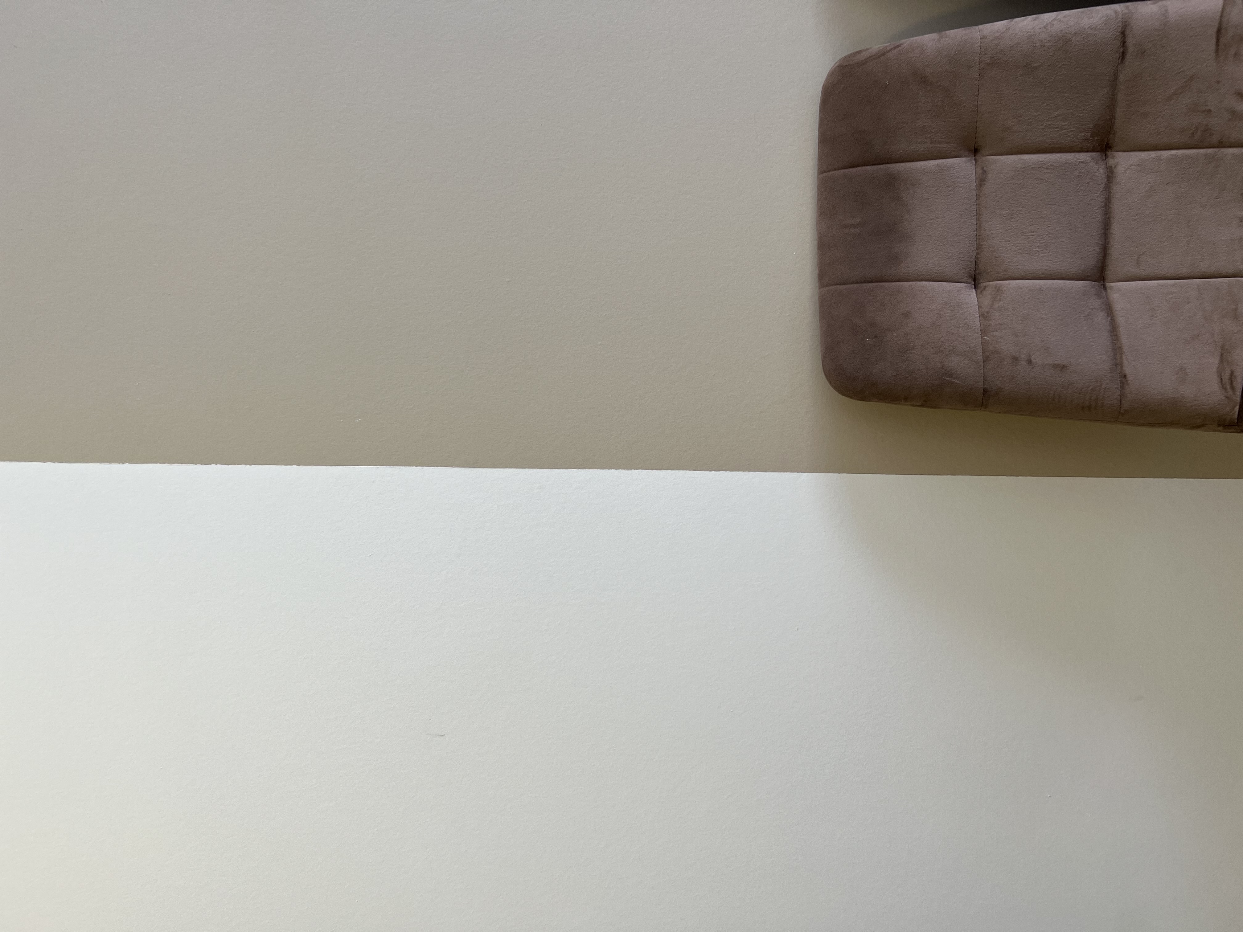 Фото Клевер