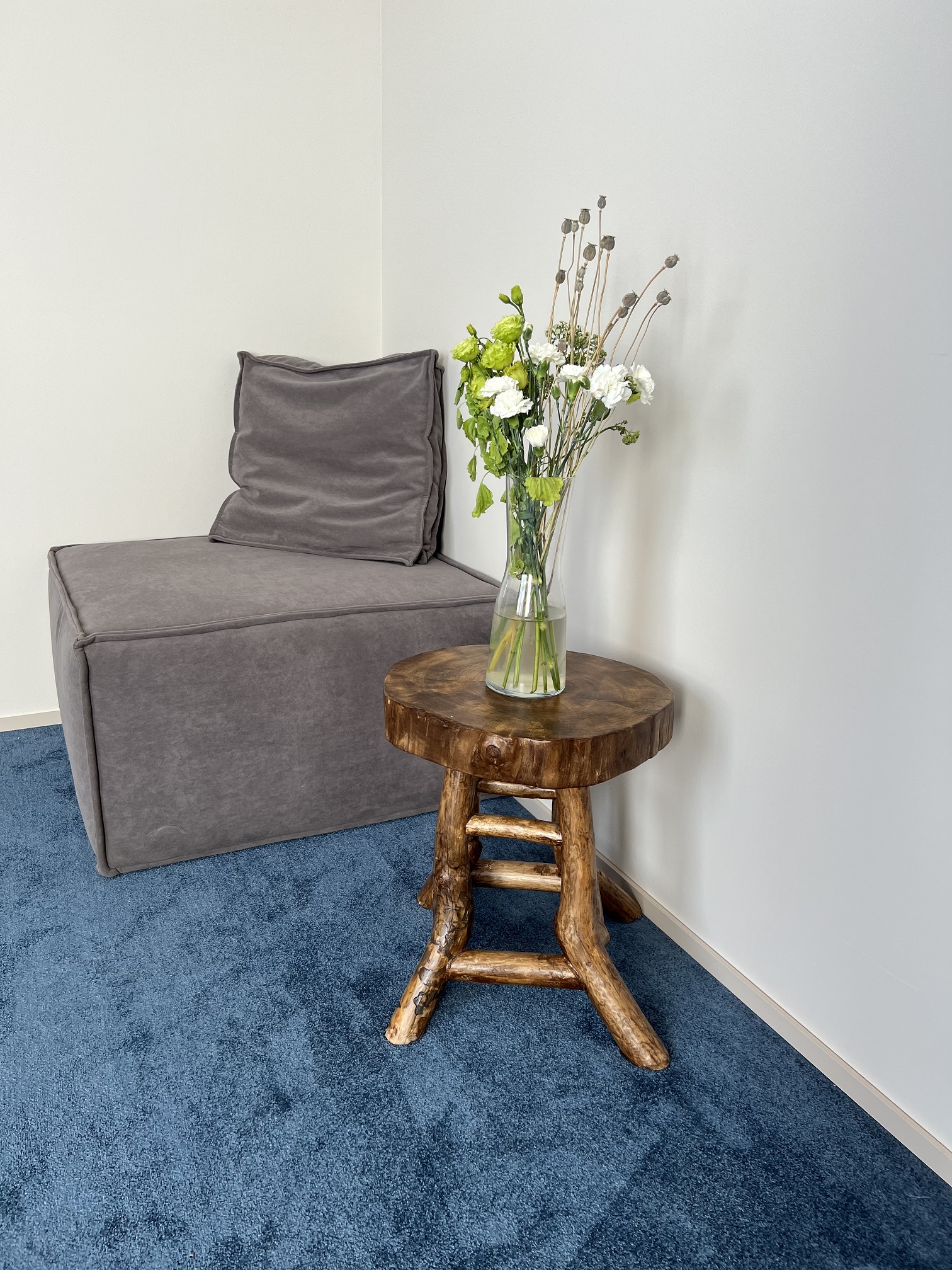 Фото Клевер