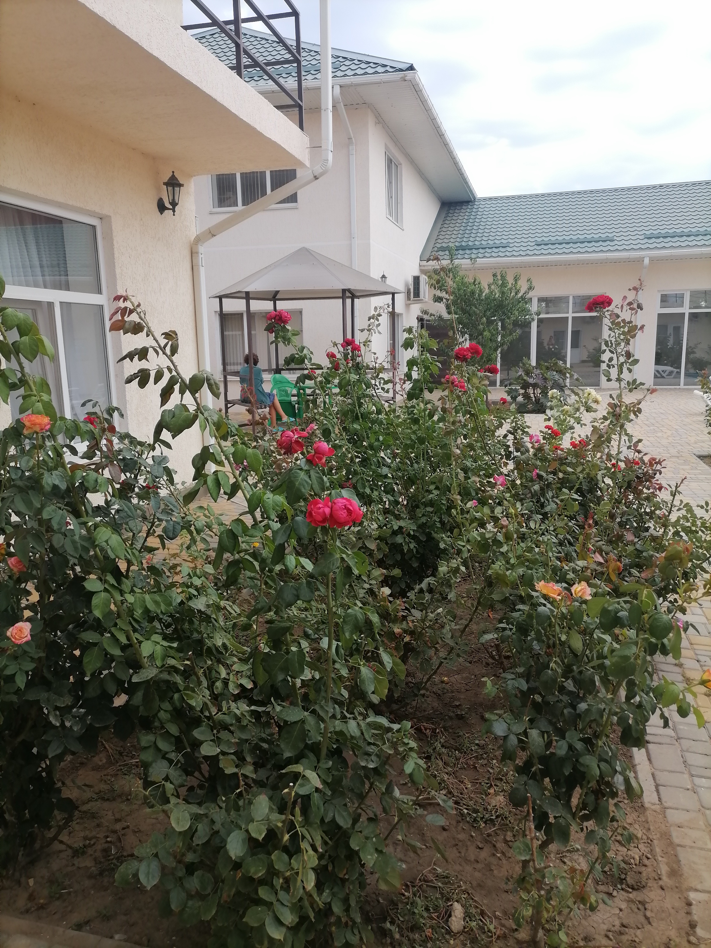 Фото Султан