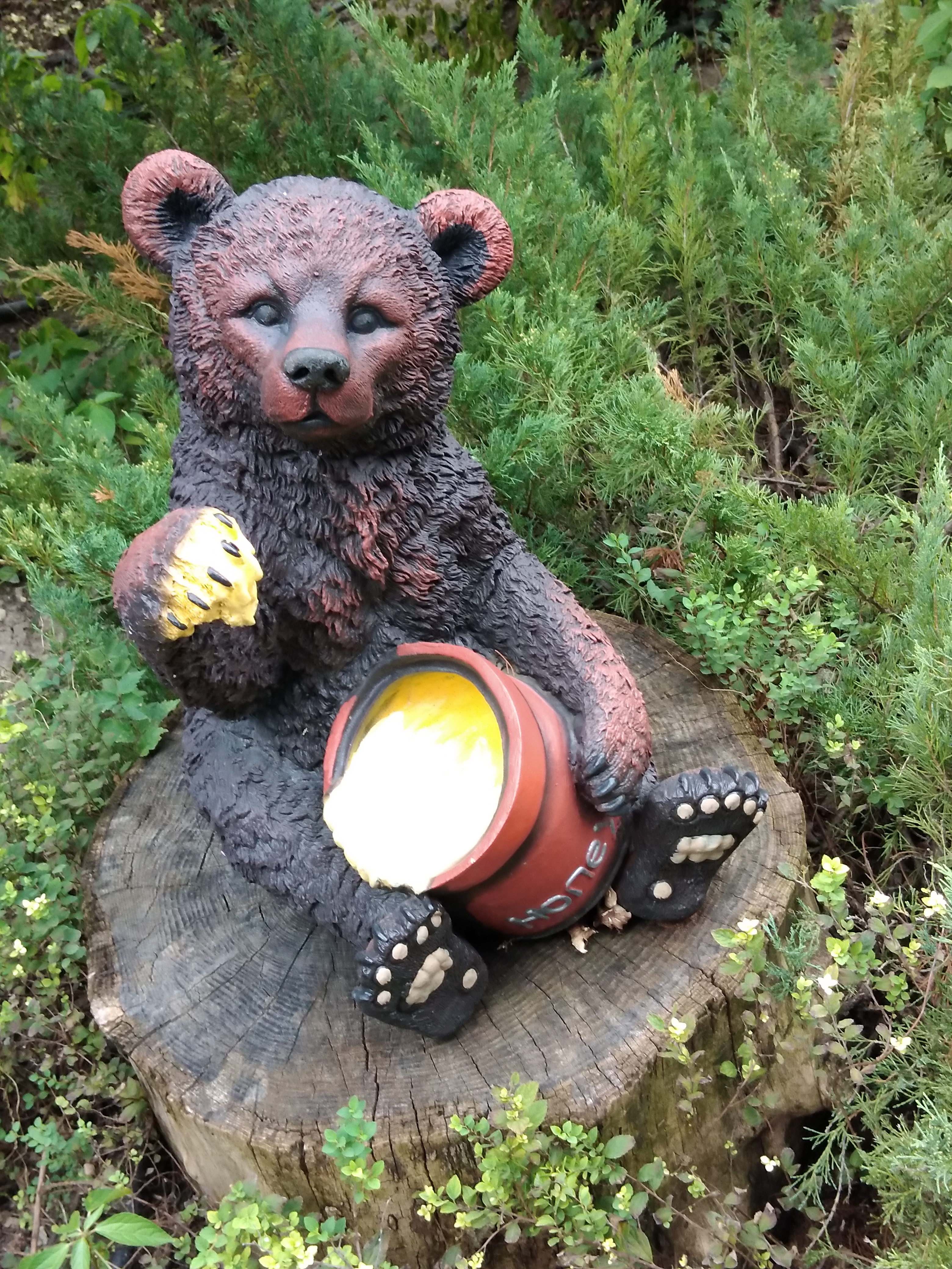 Фото Лесная сказка