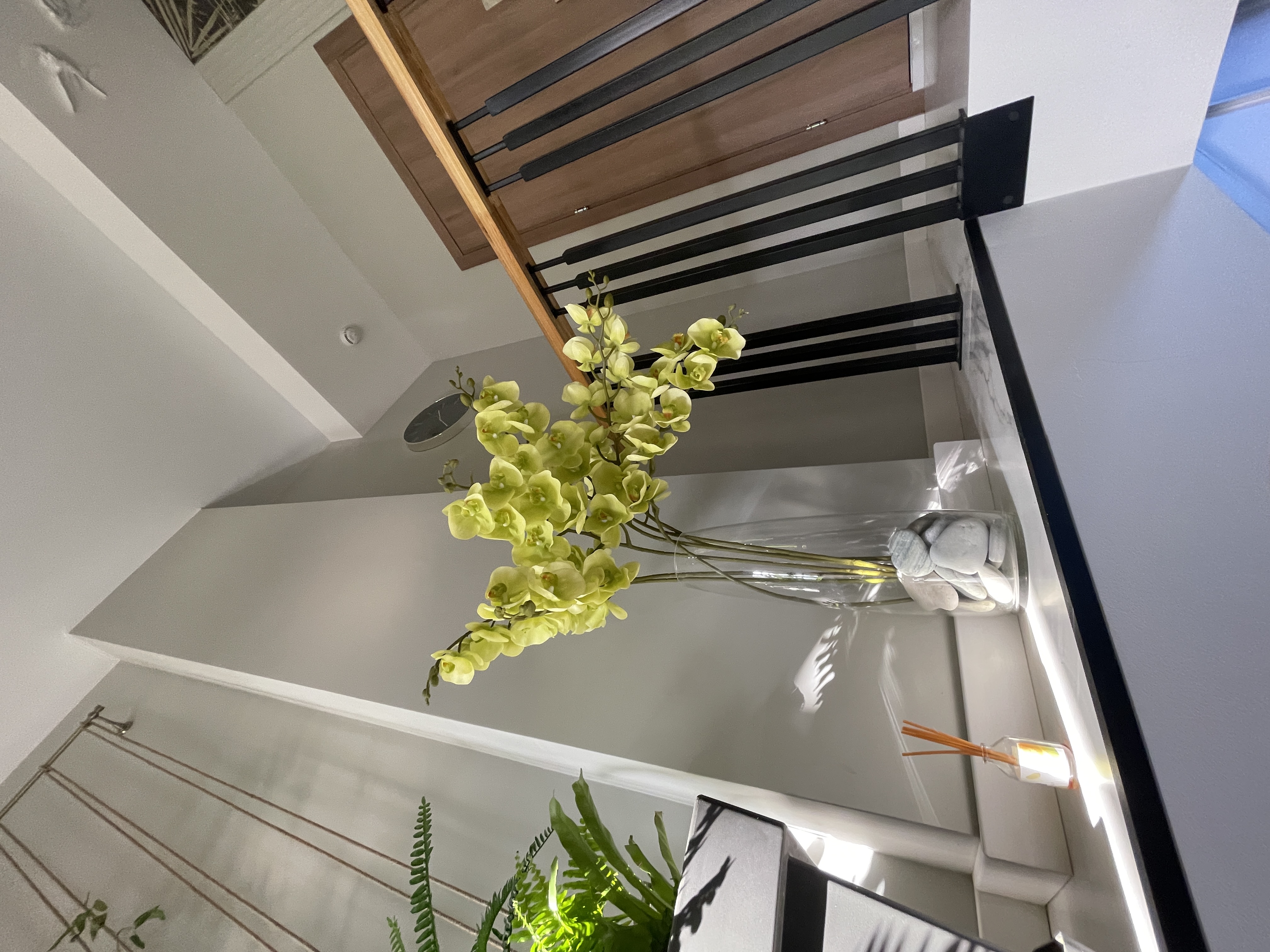 Фото Мангостин