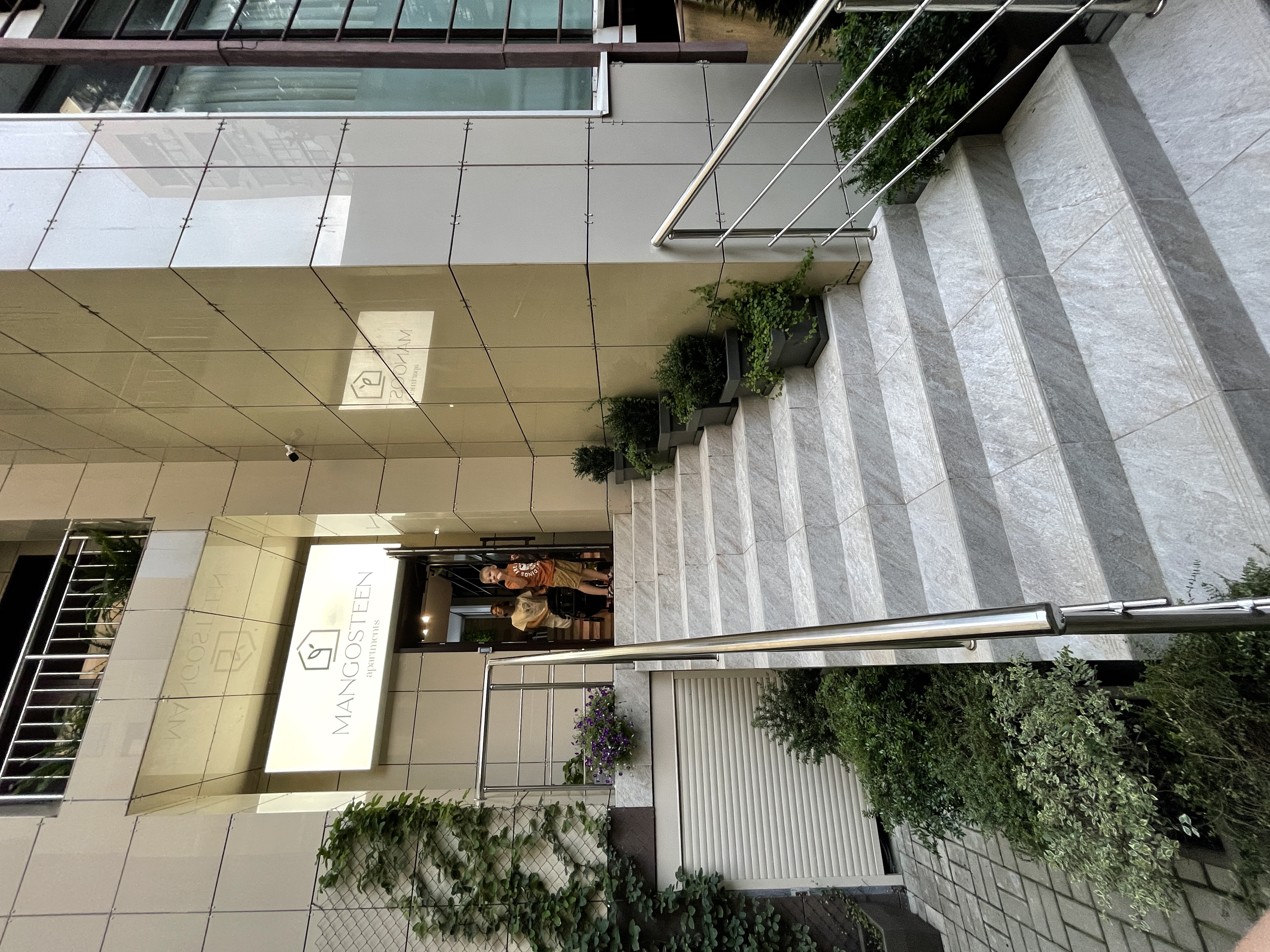 Фото Мангостин