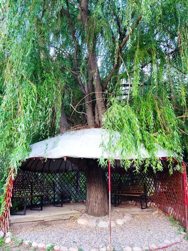 Кончают менің ішімде орыс порно видео