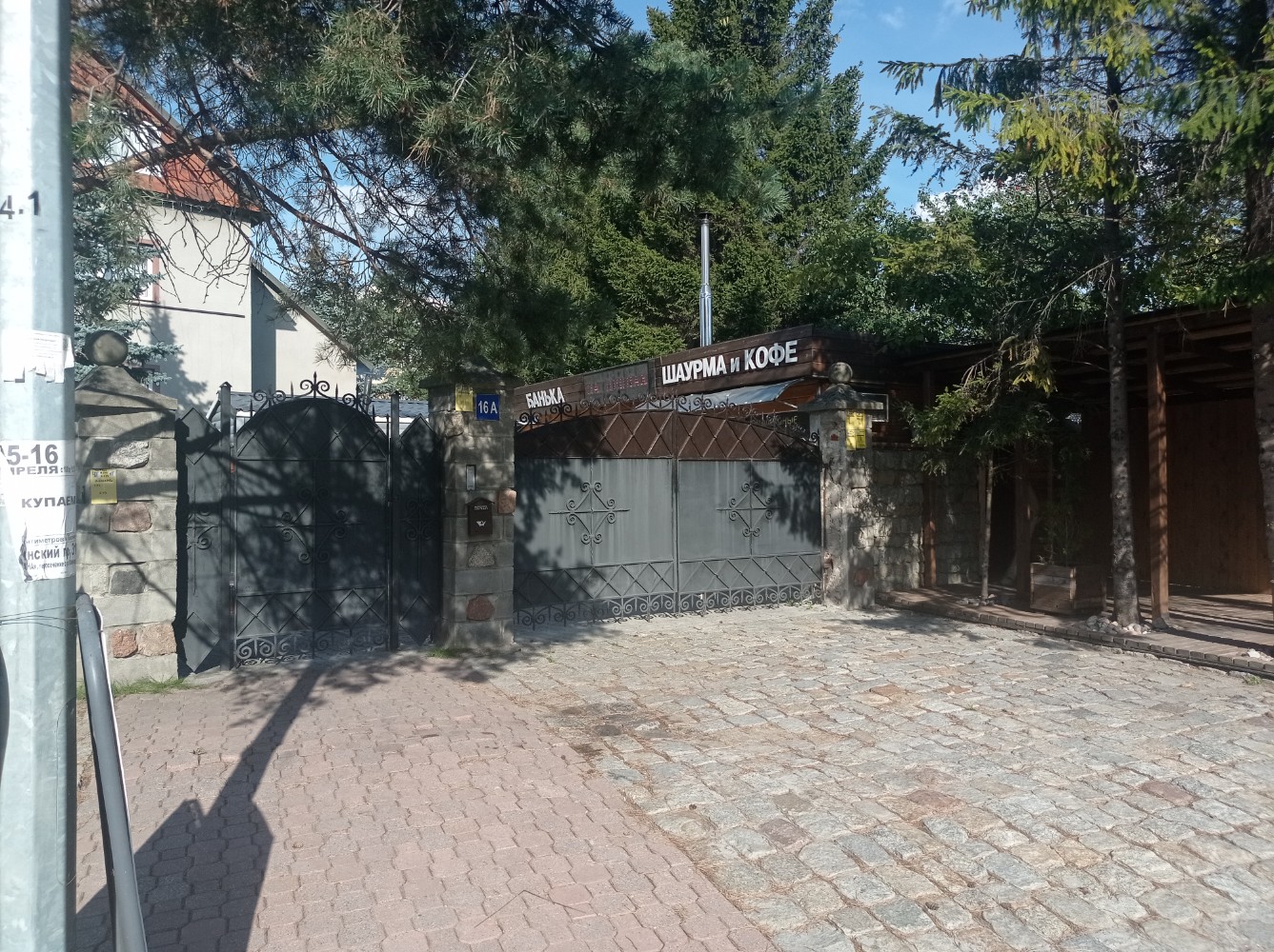 Фото В Ёлках