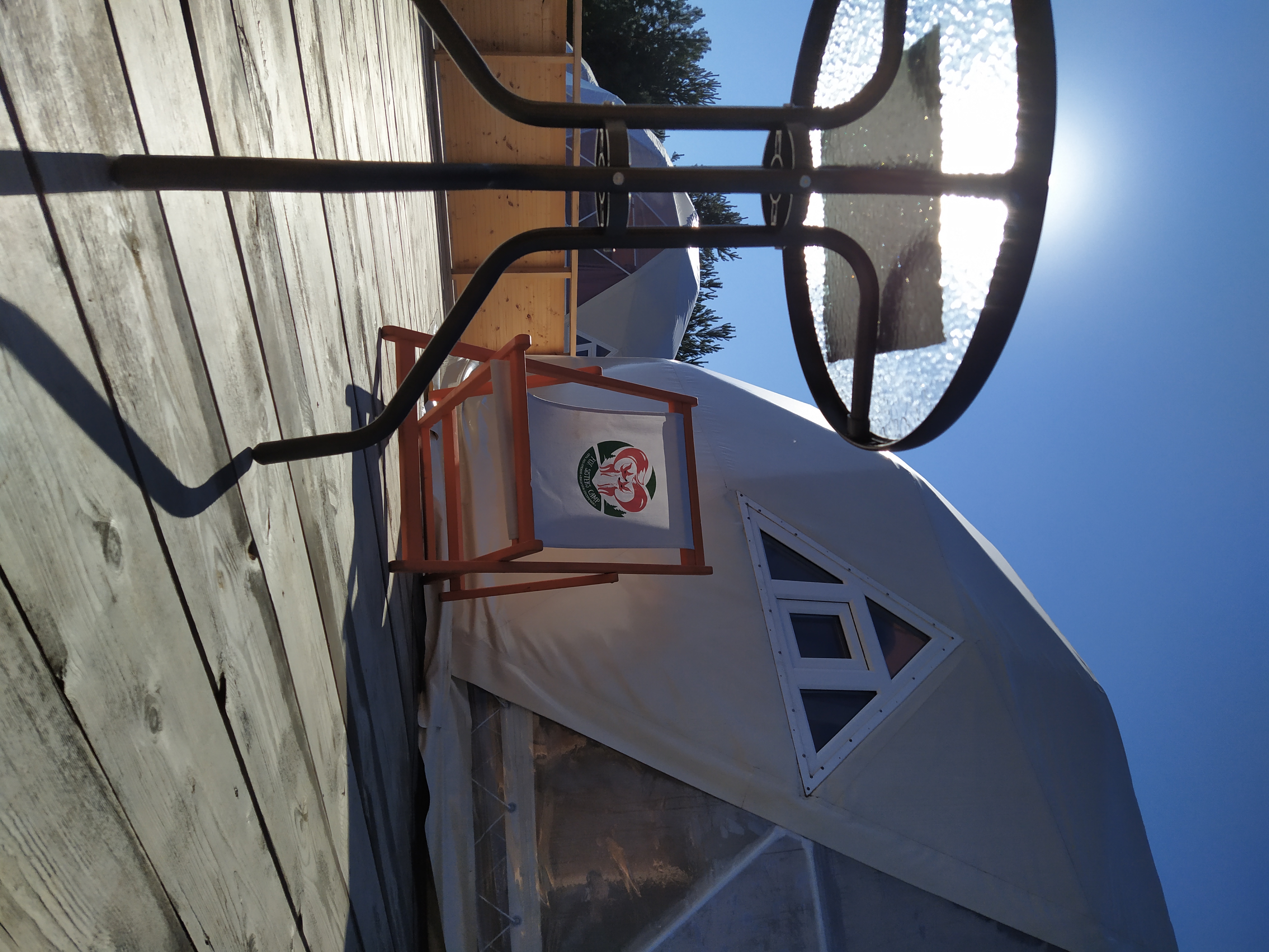 Фото Лисички-сестрички