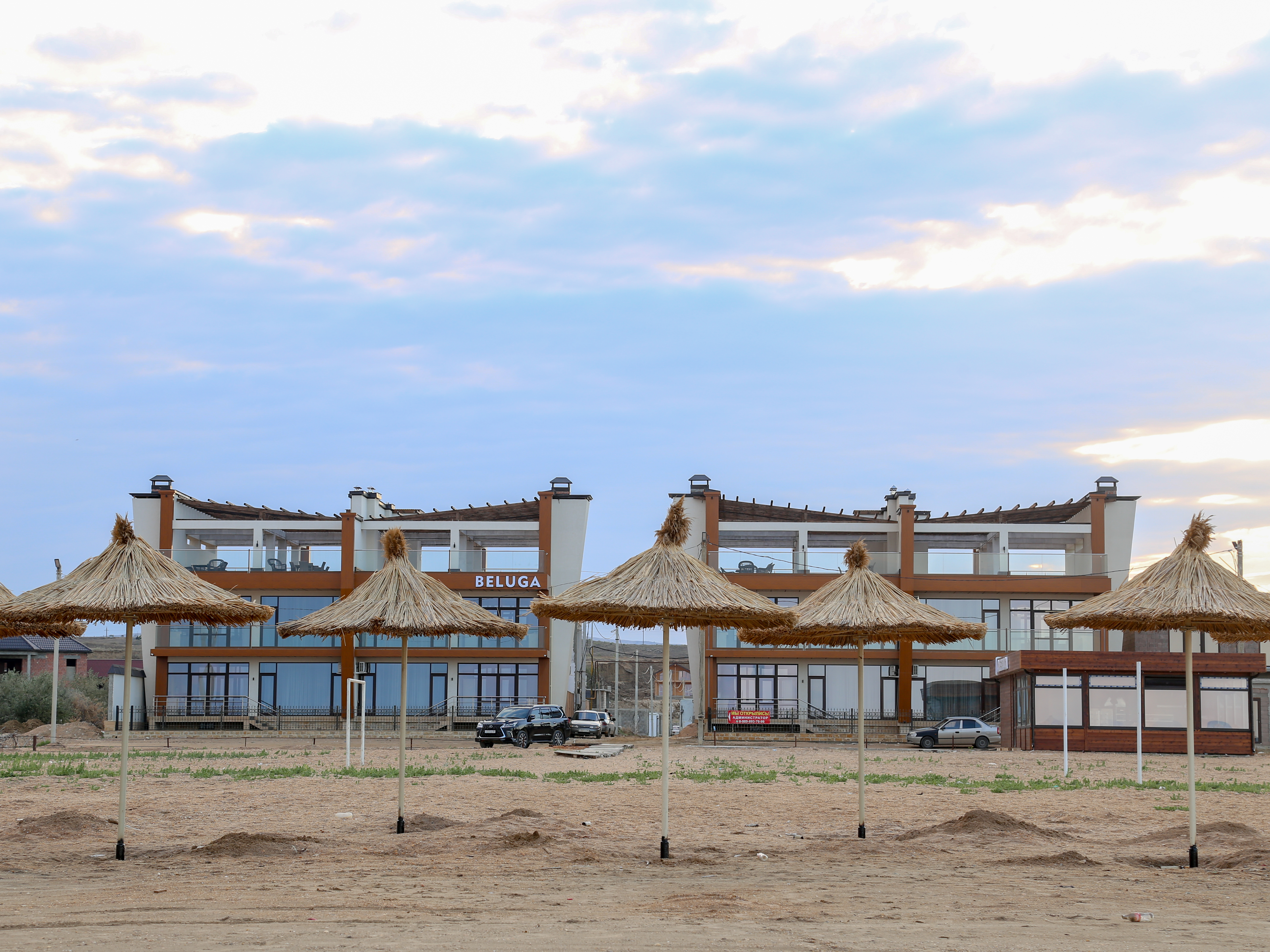 Фото Белуга