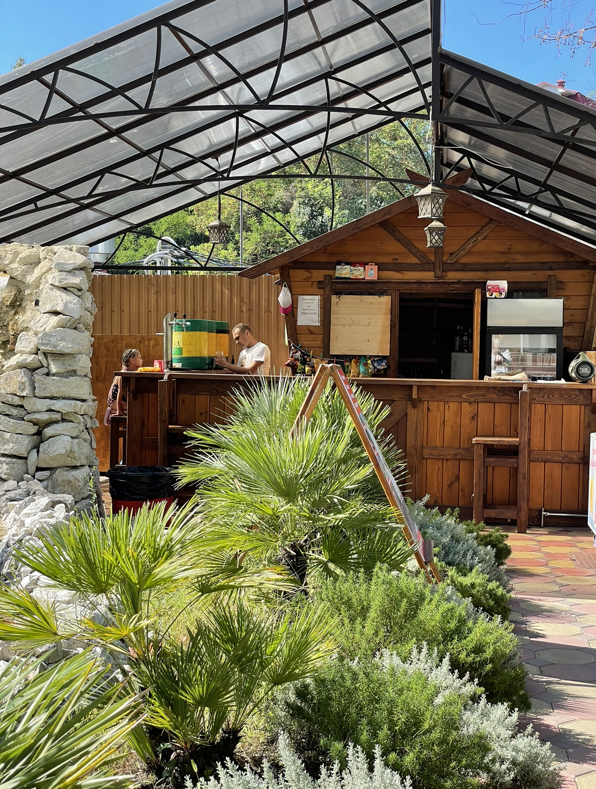 Фото Азалия