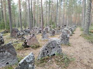 Mannerheim line anti-tank nadolby (Leningrad Region, Vyborgskiy District, Primorskoye gorodskoye poseleniye), landmark, attraction
