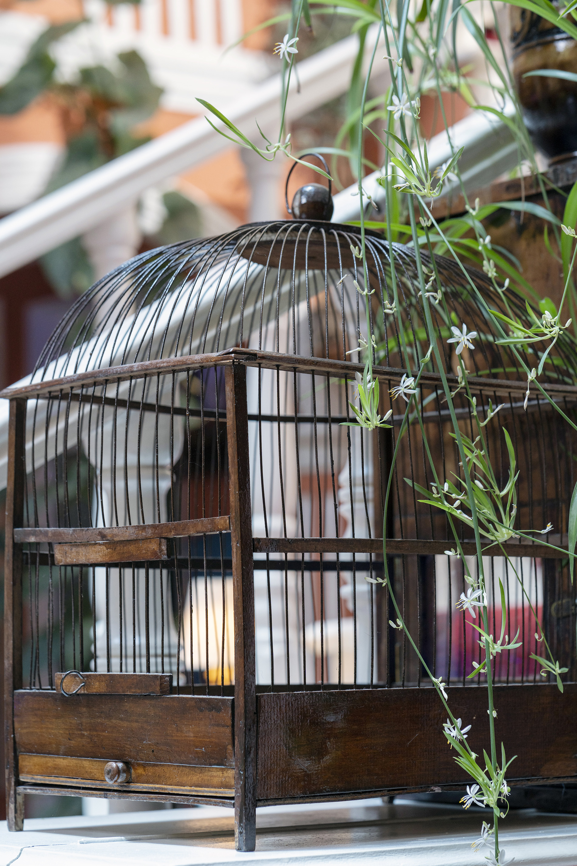 Фото Элиа Бутик Хостел