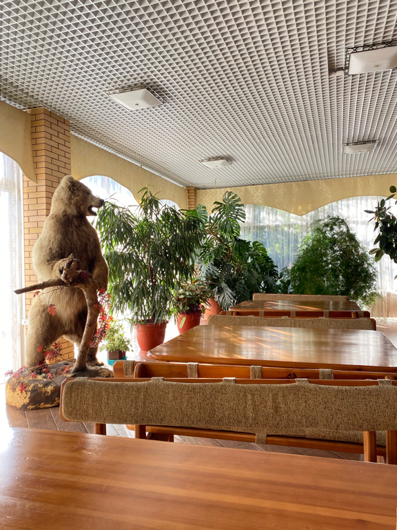 Фото Гостиница Мезмай