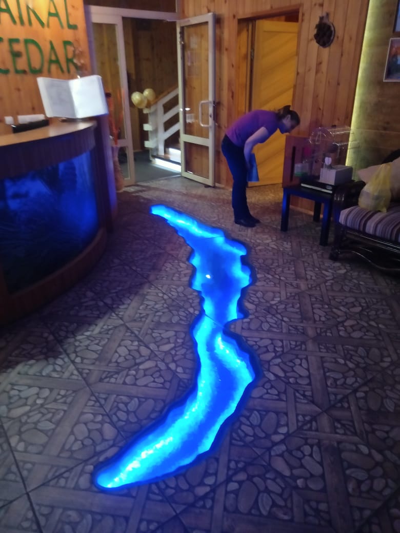 Фото Байкал Кедр