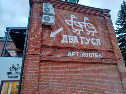 Хостел Два гуся в Коломне