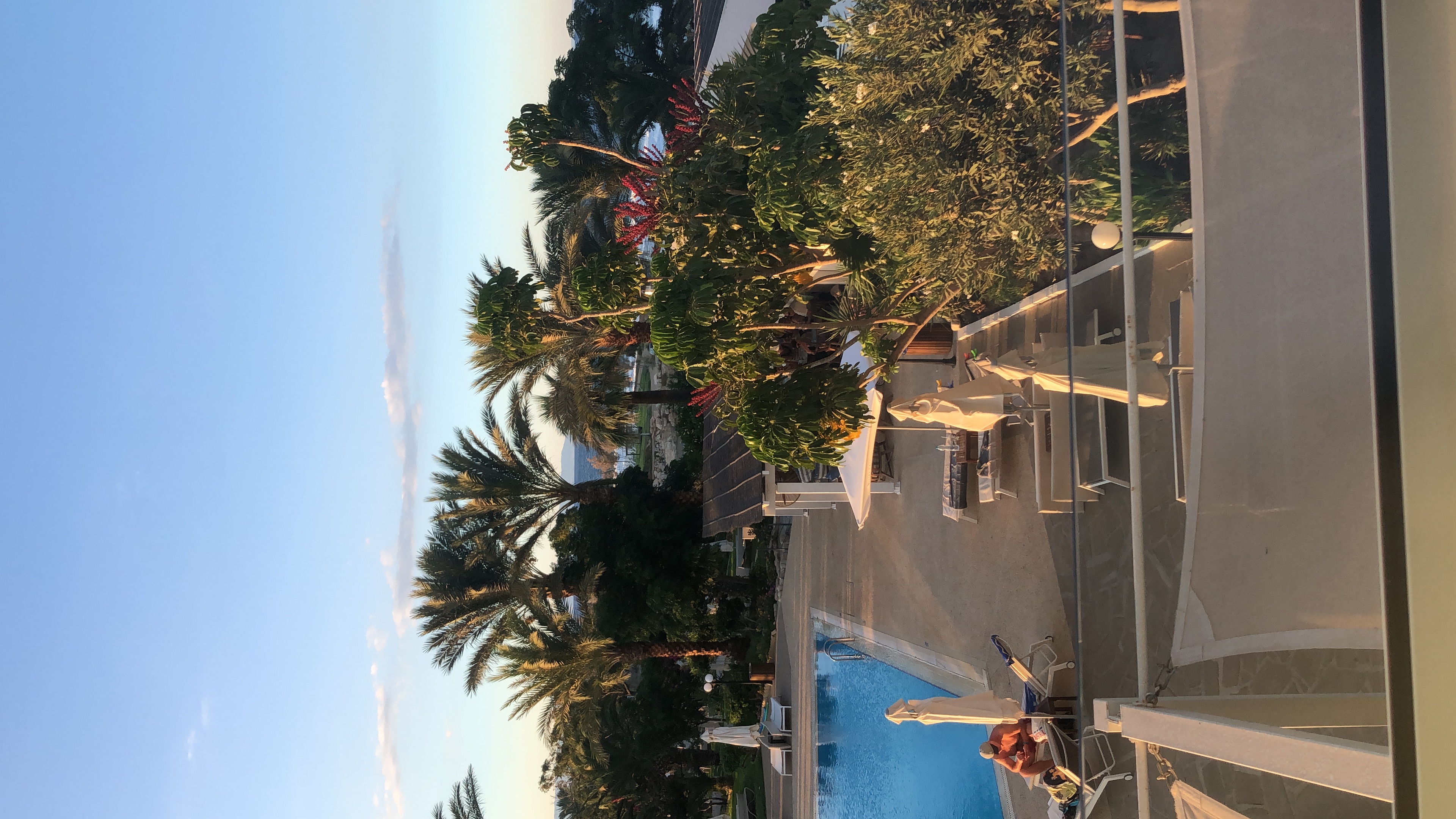 Фото Crystal Springs Beach Hotel