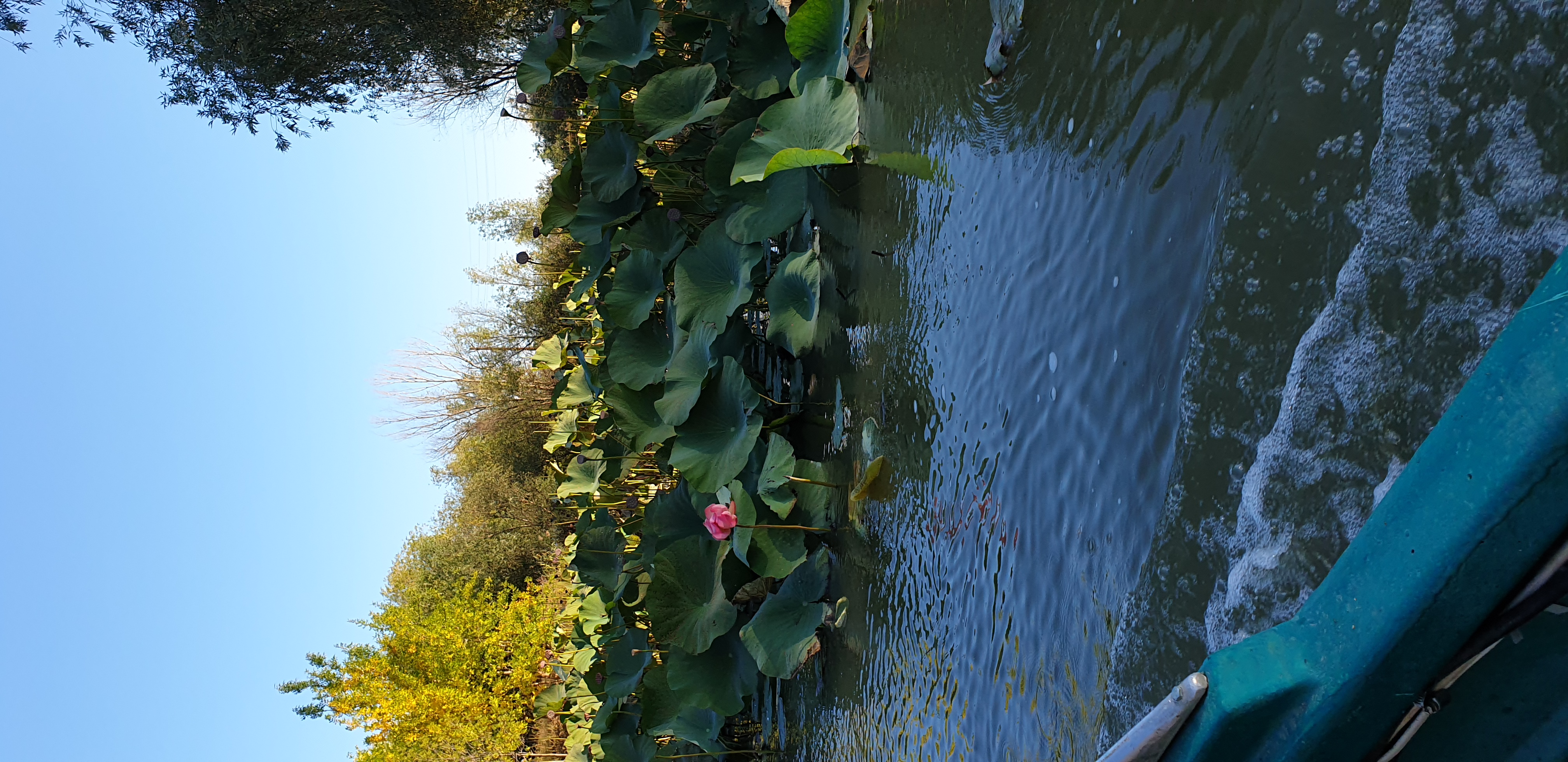 Фото Усадьба Кузьмича