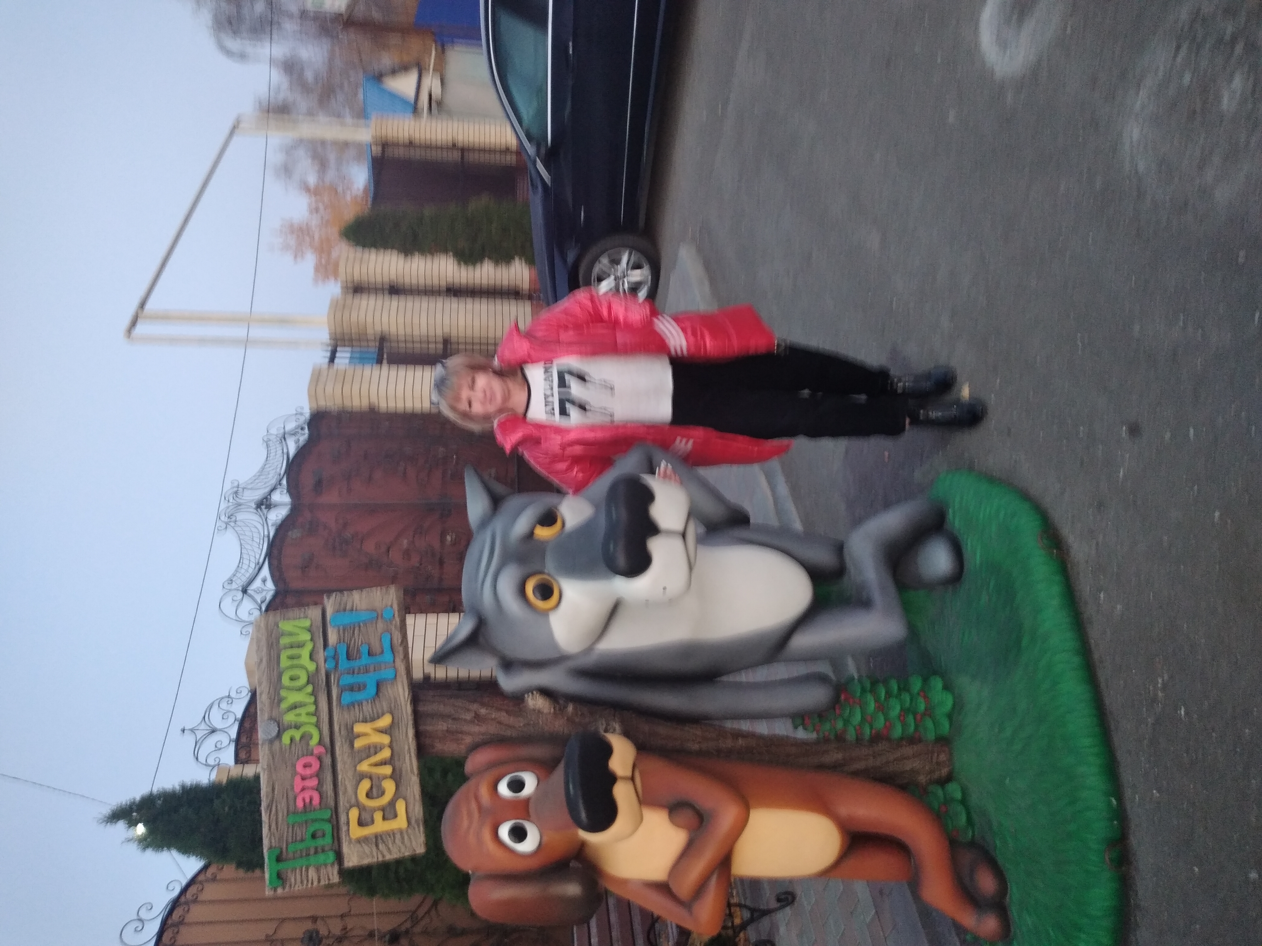 Фото Белые ивы