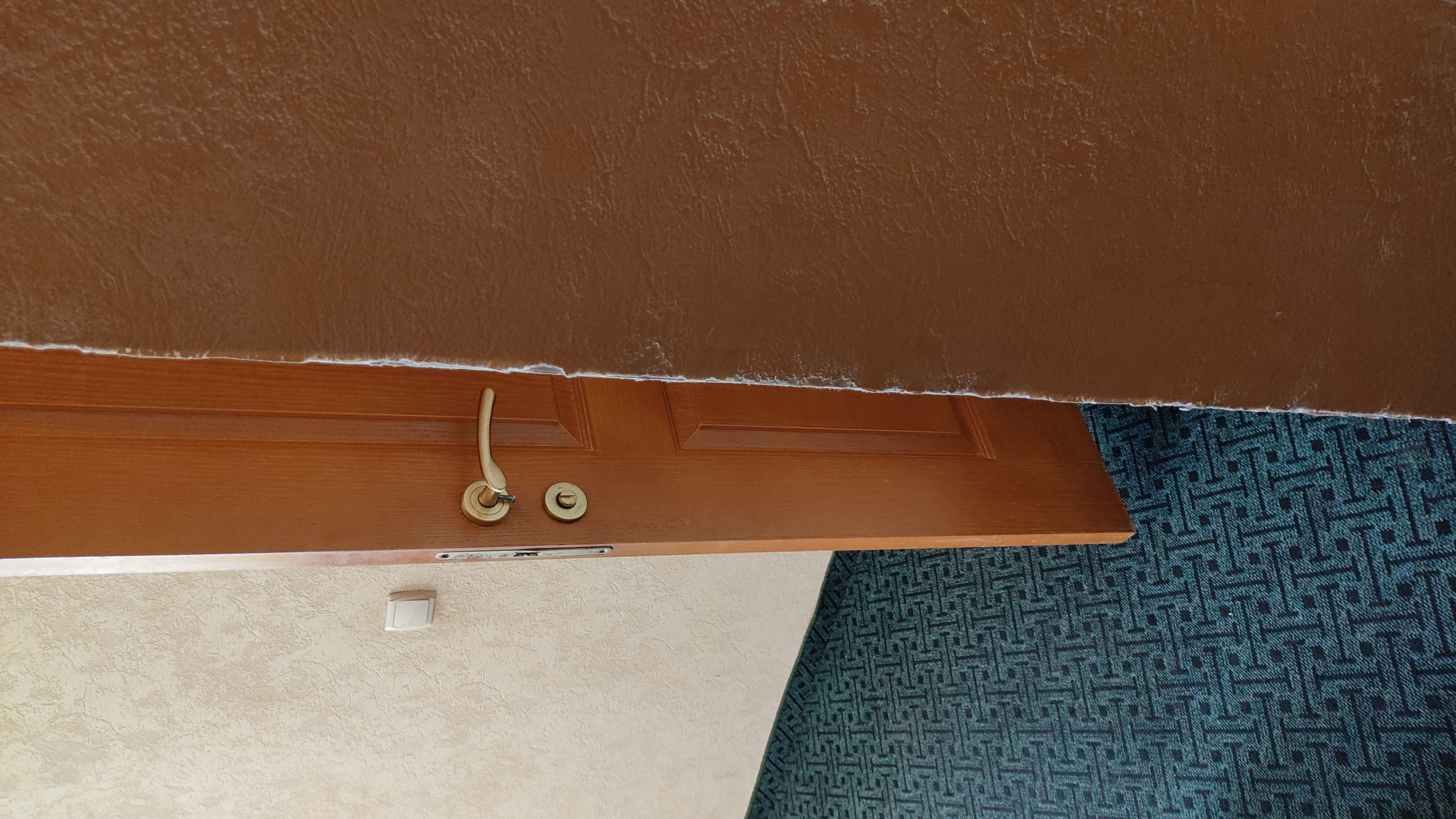 Фото Коралл