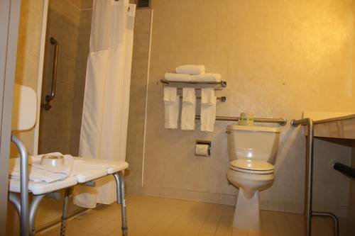 Фото Holiday Inn Budd Lake - Rockaway Area