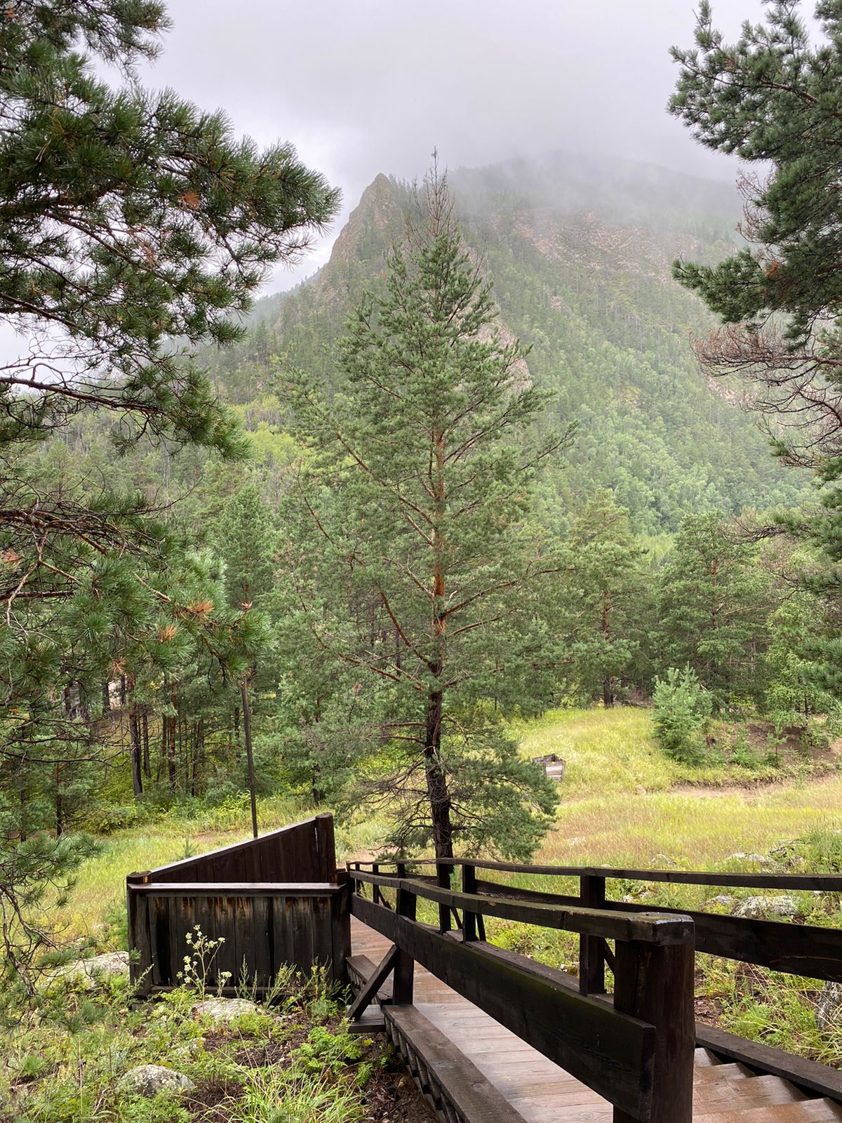 Фото Синдбад