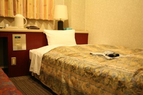 Фото Hotel Ikeda