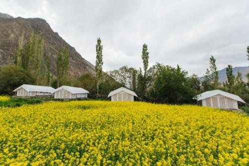 Фото Hotel Galaxy Ladakh