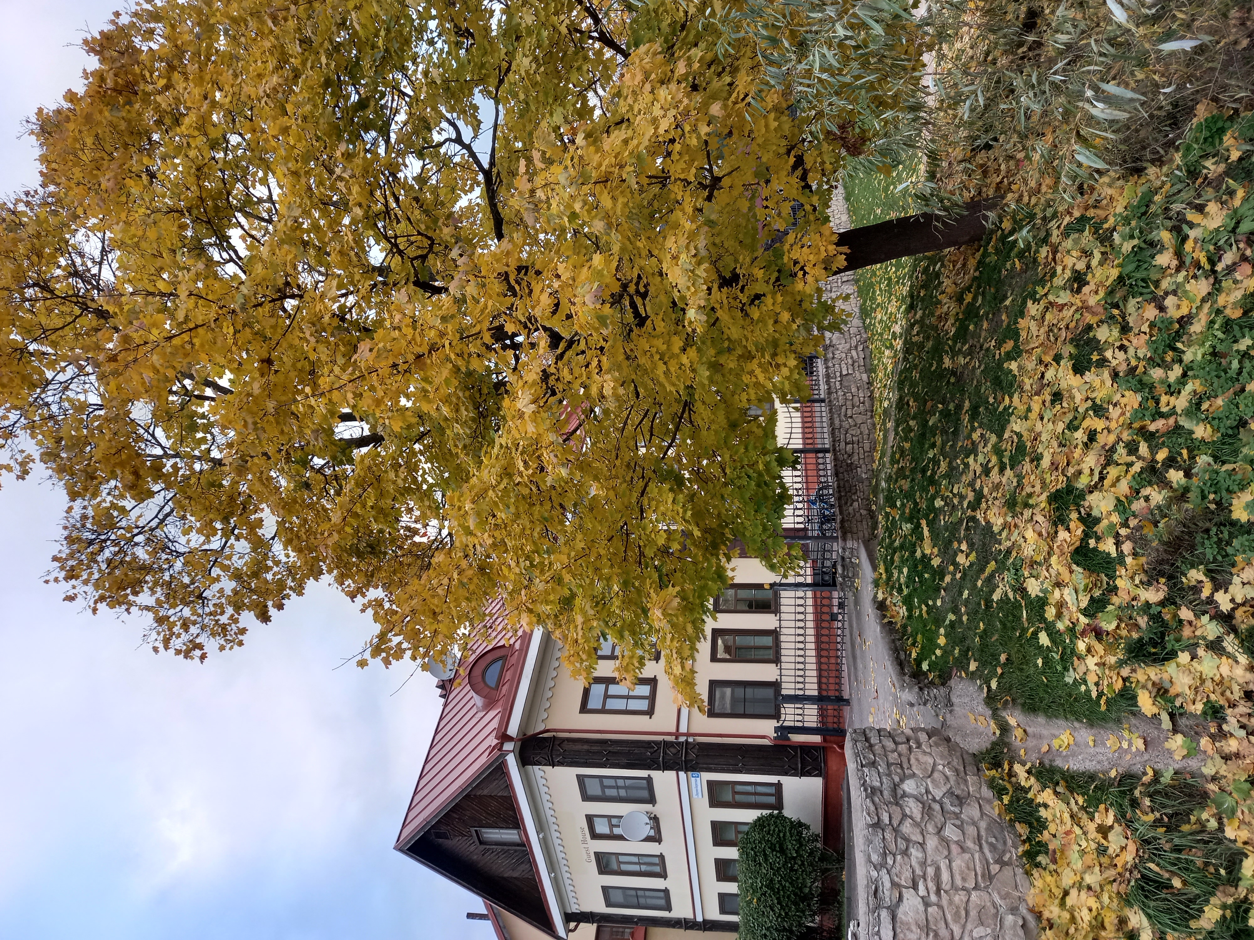 Фото Гостевой дом на Верхне-Береговой