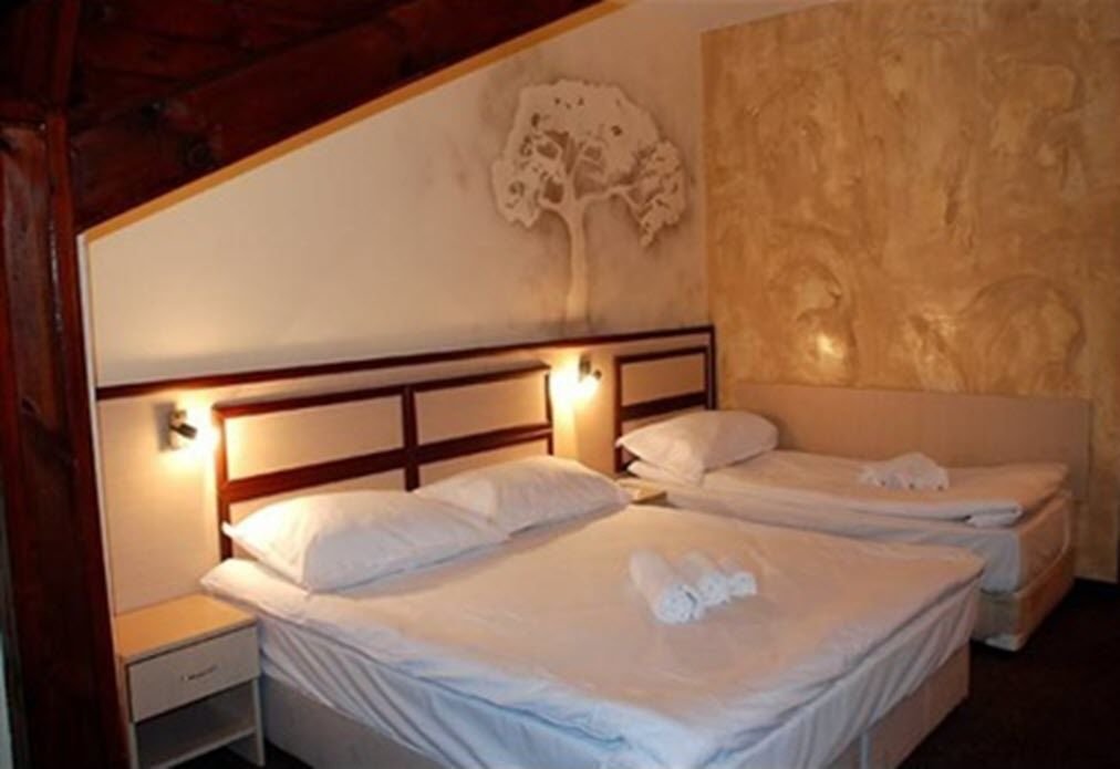 Фото Hotel Rodina