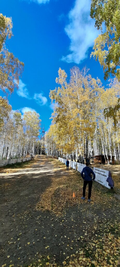 مدرسة رياضية Cross-country Skiing For Children ، يكاترينبورغ، صورة