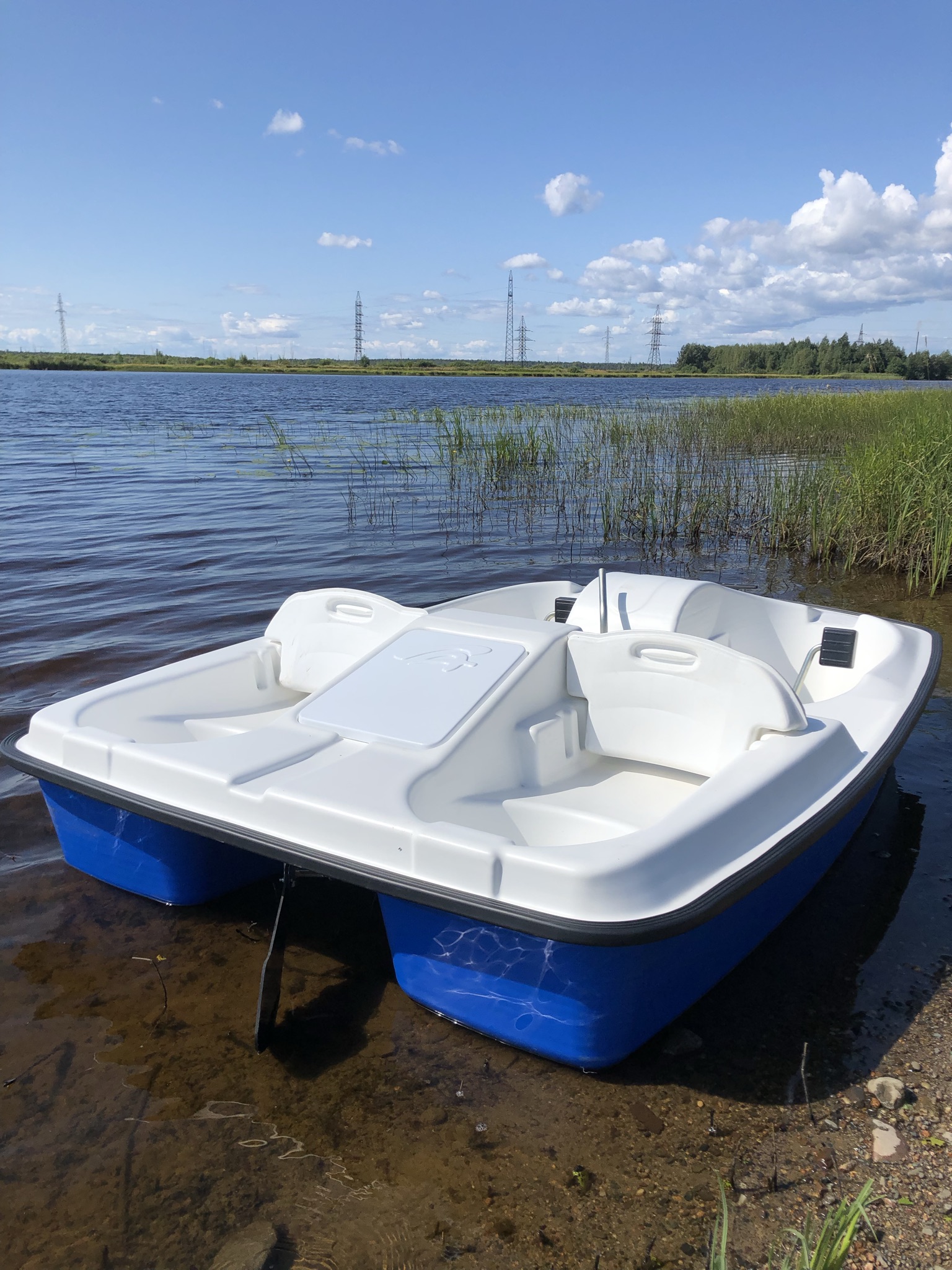 Фото Крокус