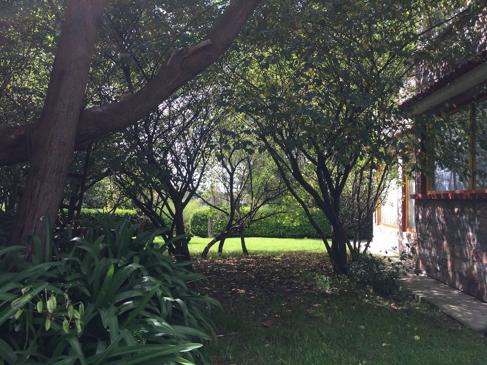 Фото 243559828724